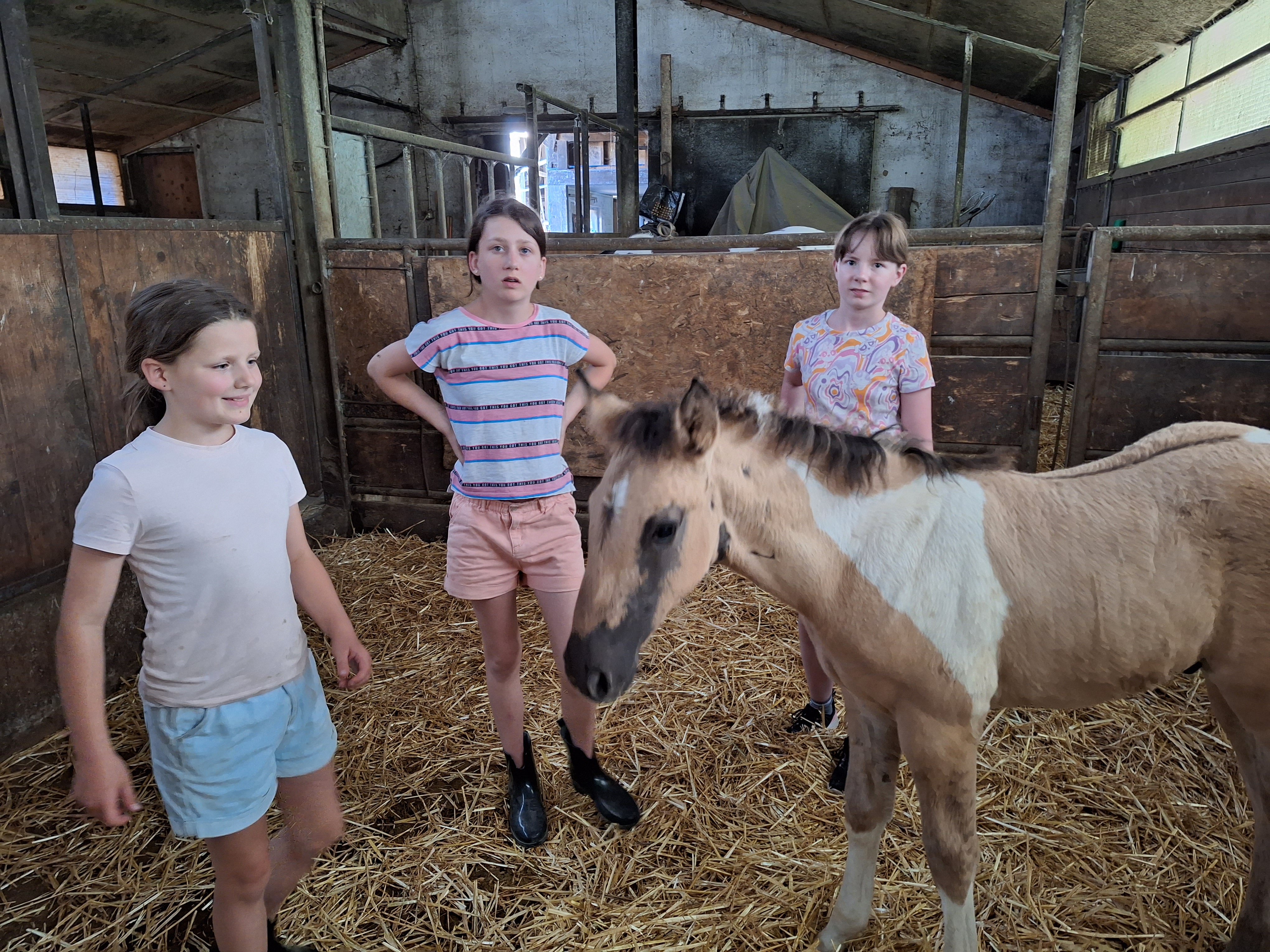 Reitlager 1 vom 8.-13.7.23 (21)