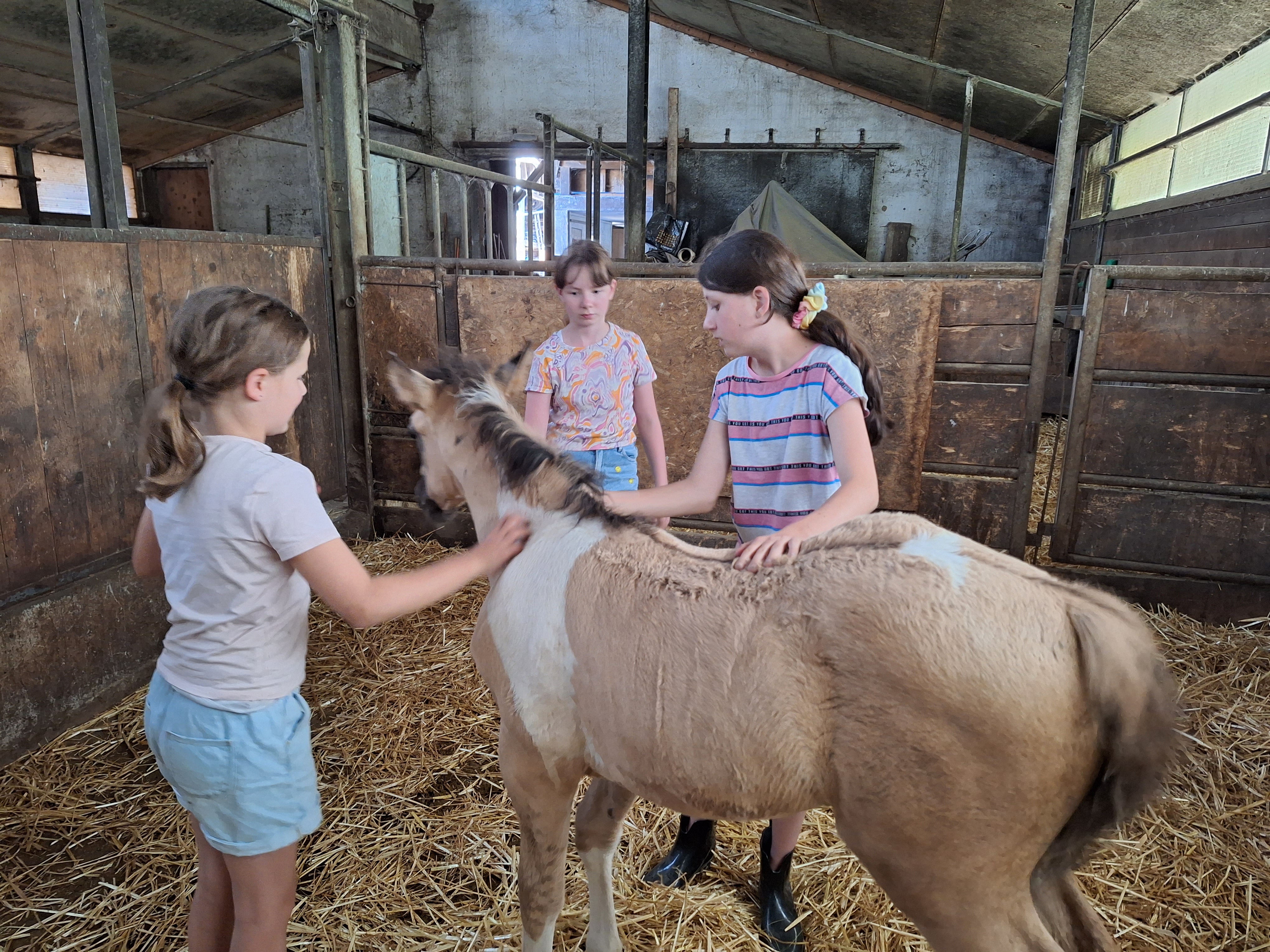 Reitlager 1 vom 8.-13.7.23 (29)