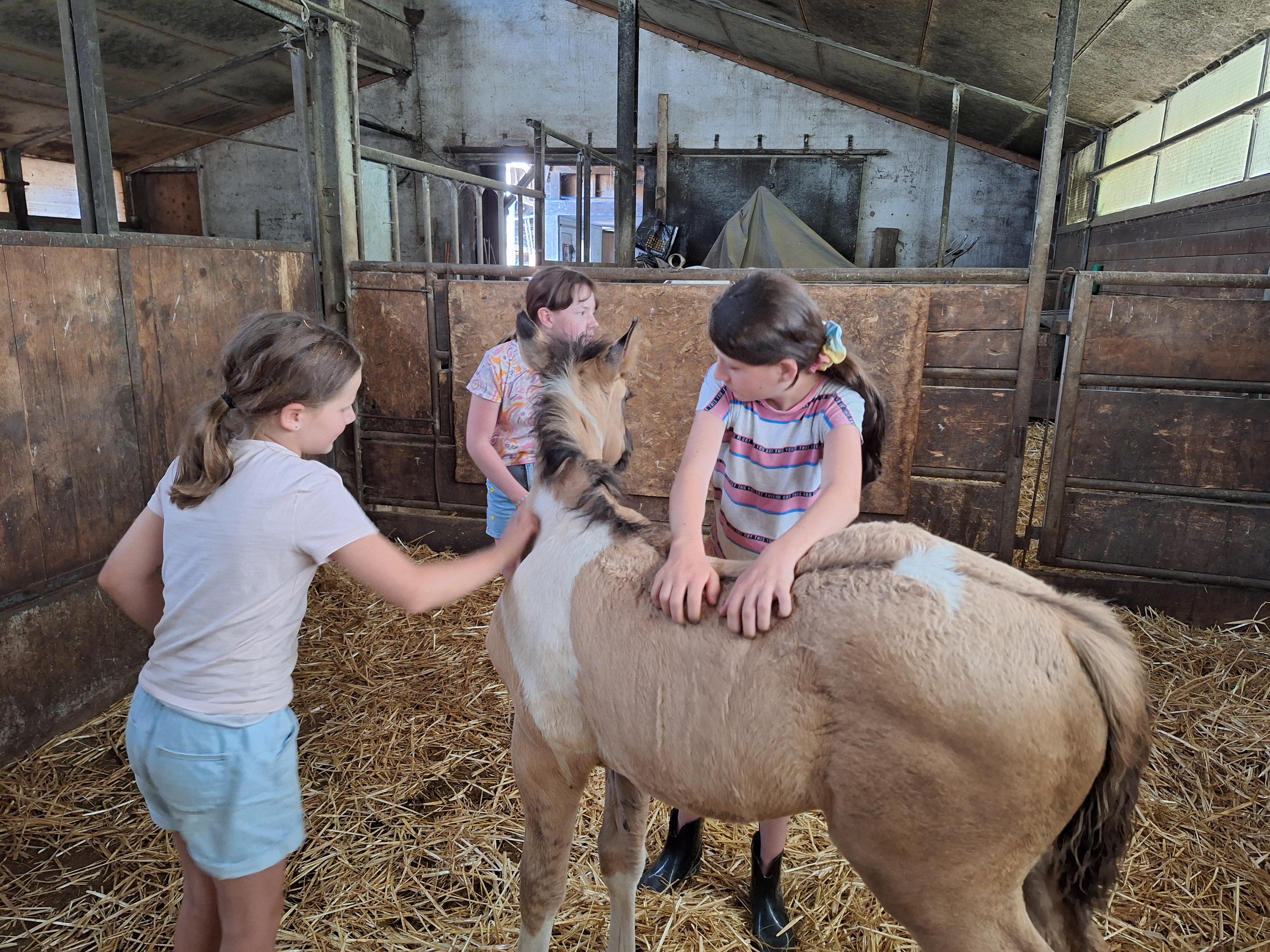 Reitlager 1 vom 8.-13.7.23 (28)