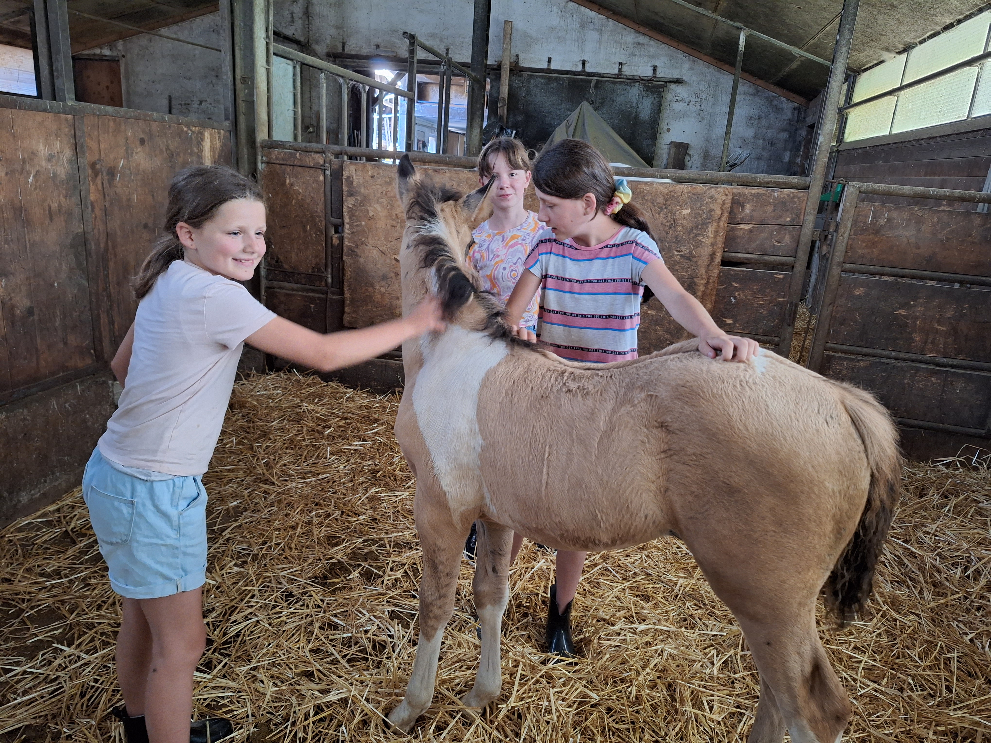 Reitlager 1 vom 8.-13.7.23 (24)