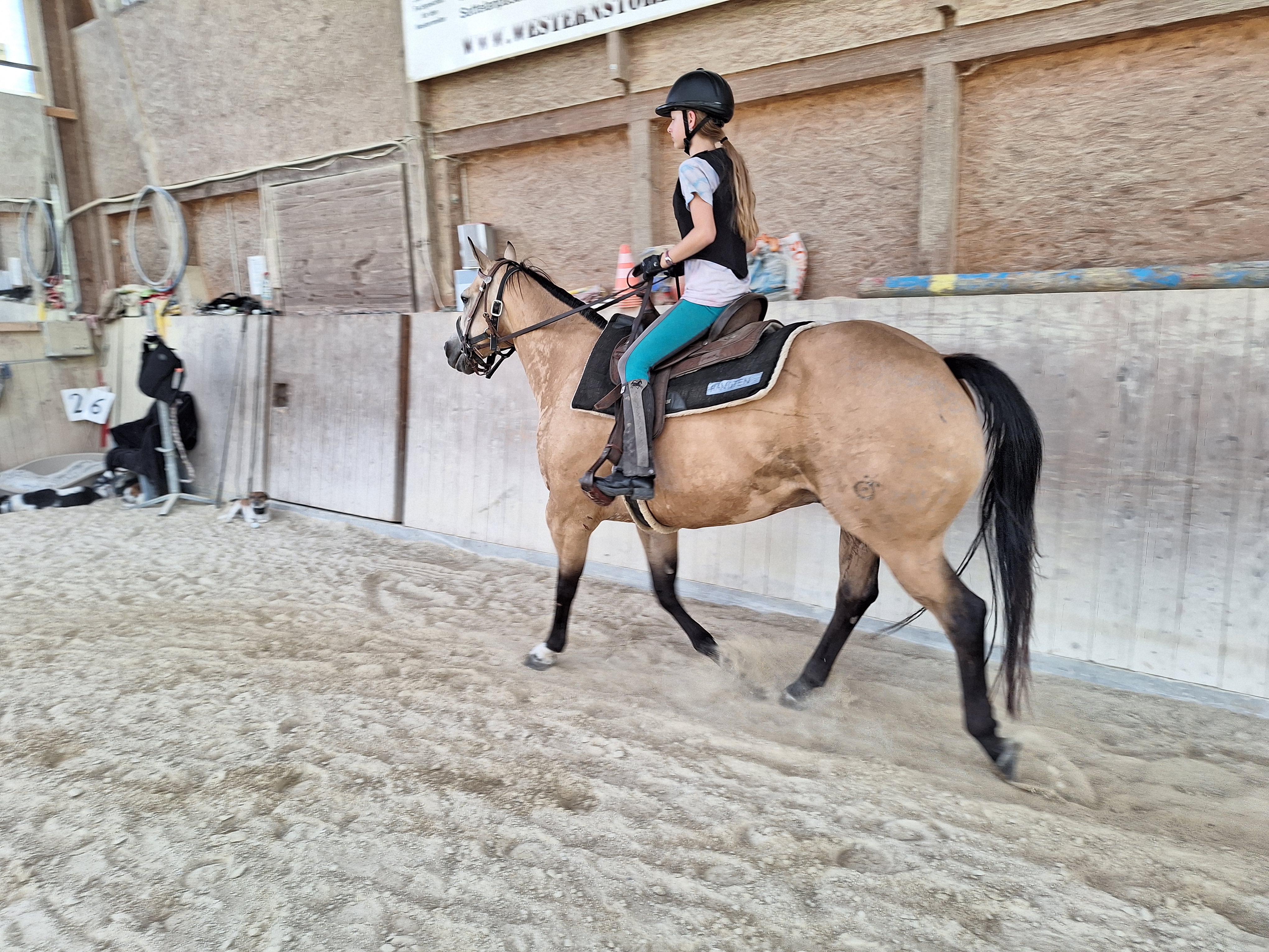 Reitlager 1 vom 8.-13.7.23 (63)