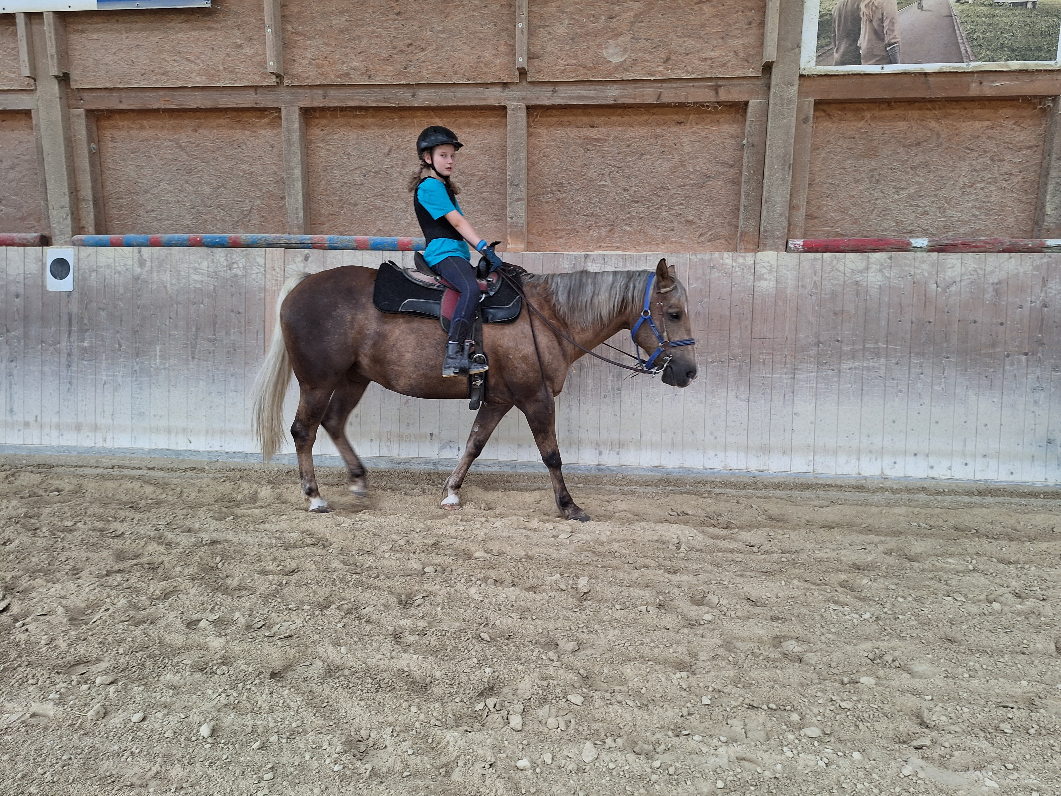 Reitlager 1 vom 8.-13.7.23 (2)