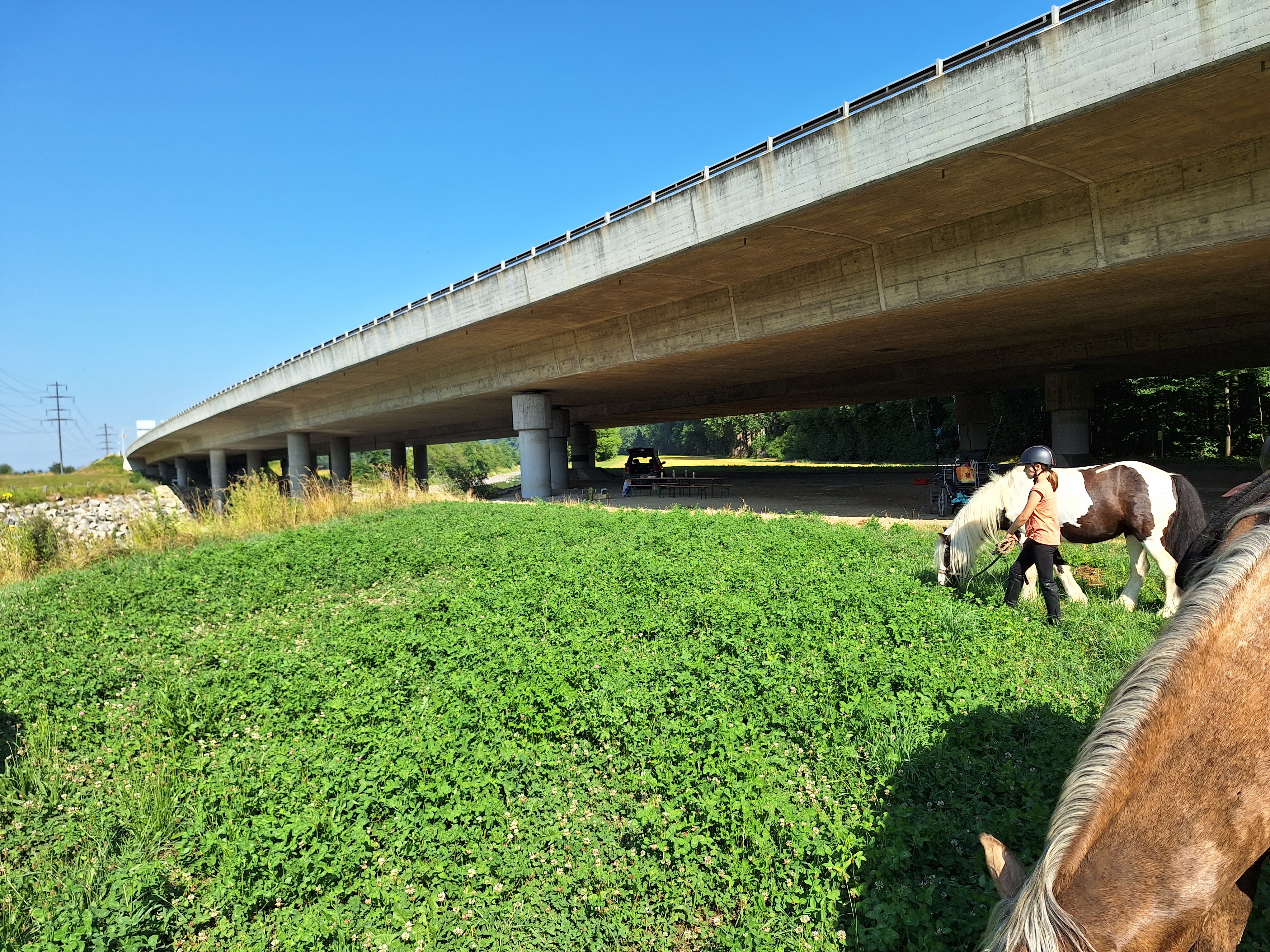 Reitlager 1 vom 8.-13.7.23 (105)