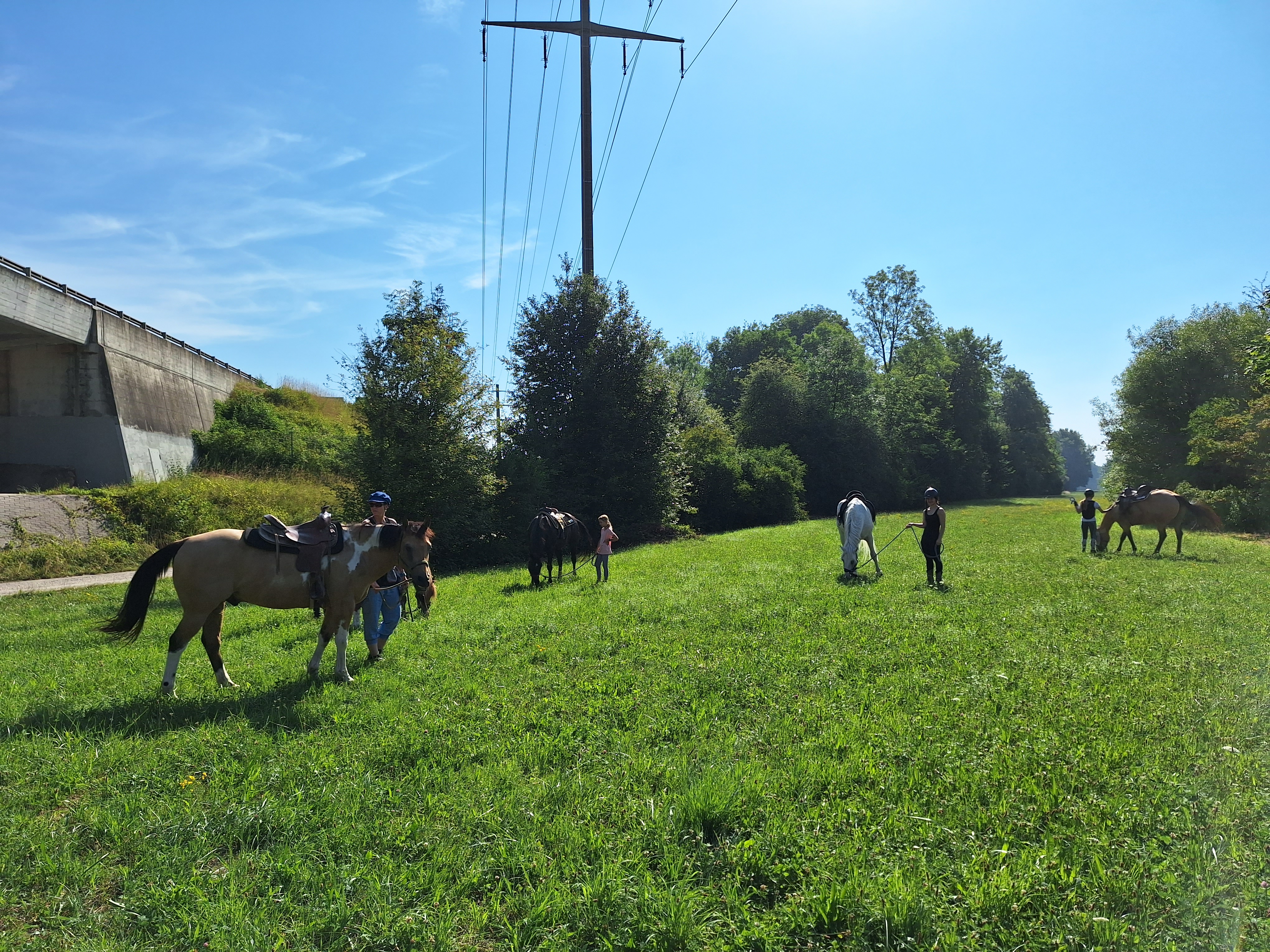 Reitlager 1 vom 8.-13.7.23 (101)