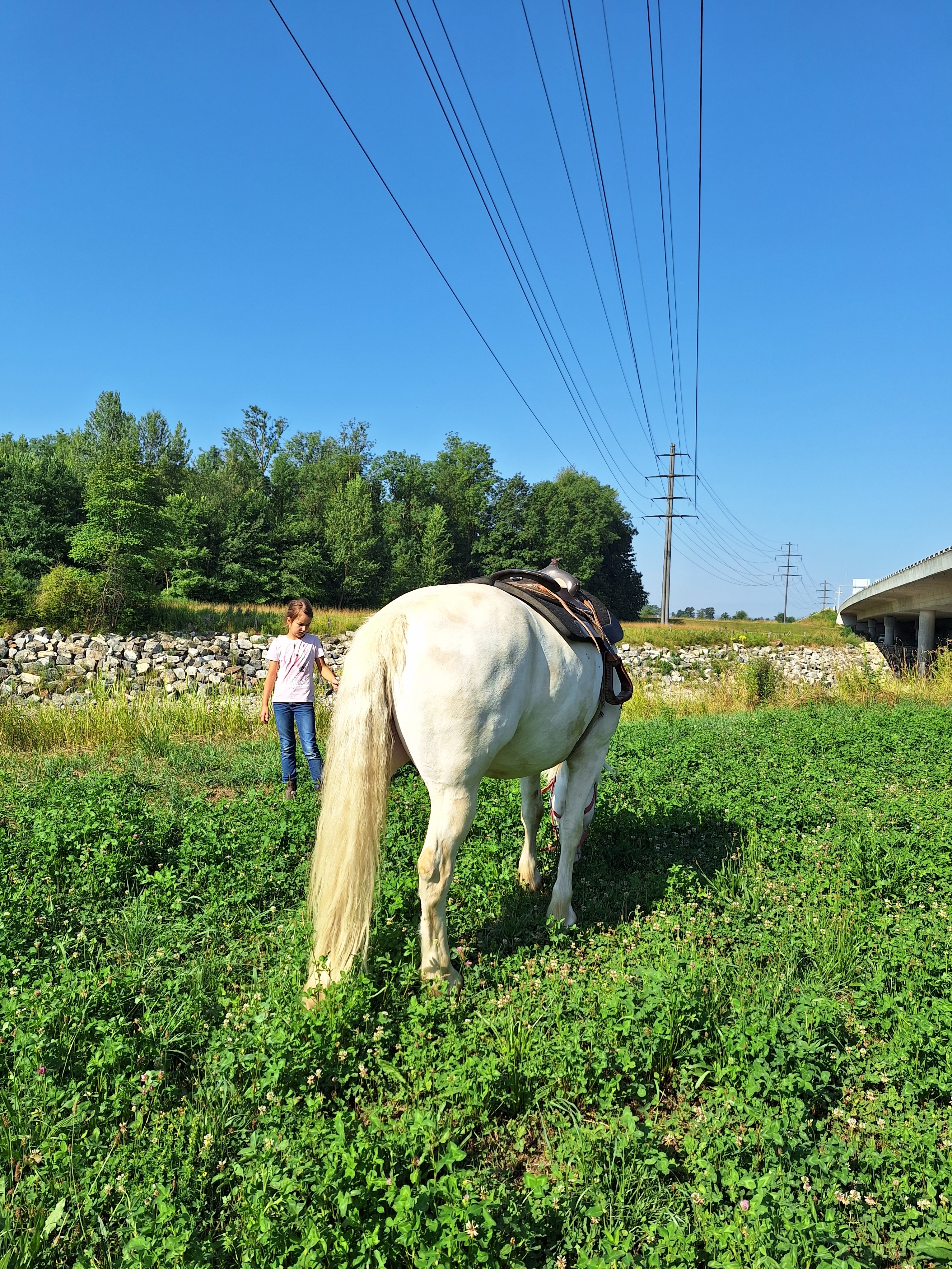 Reitlager 1 vom 8.-13.7.23 (103)