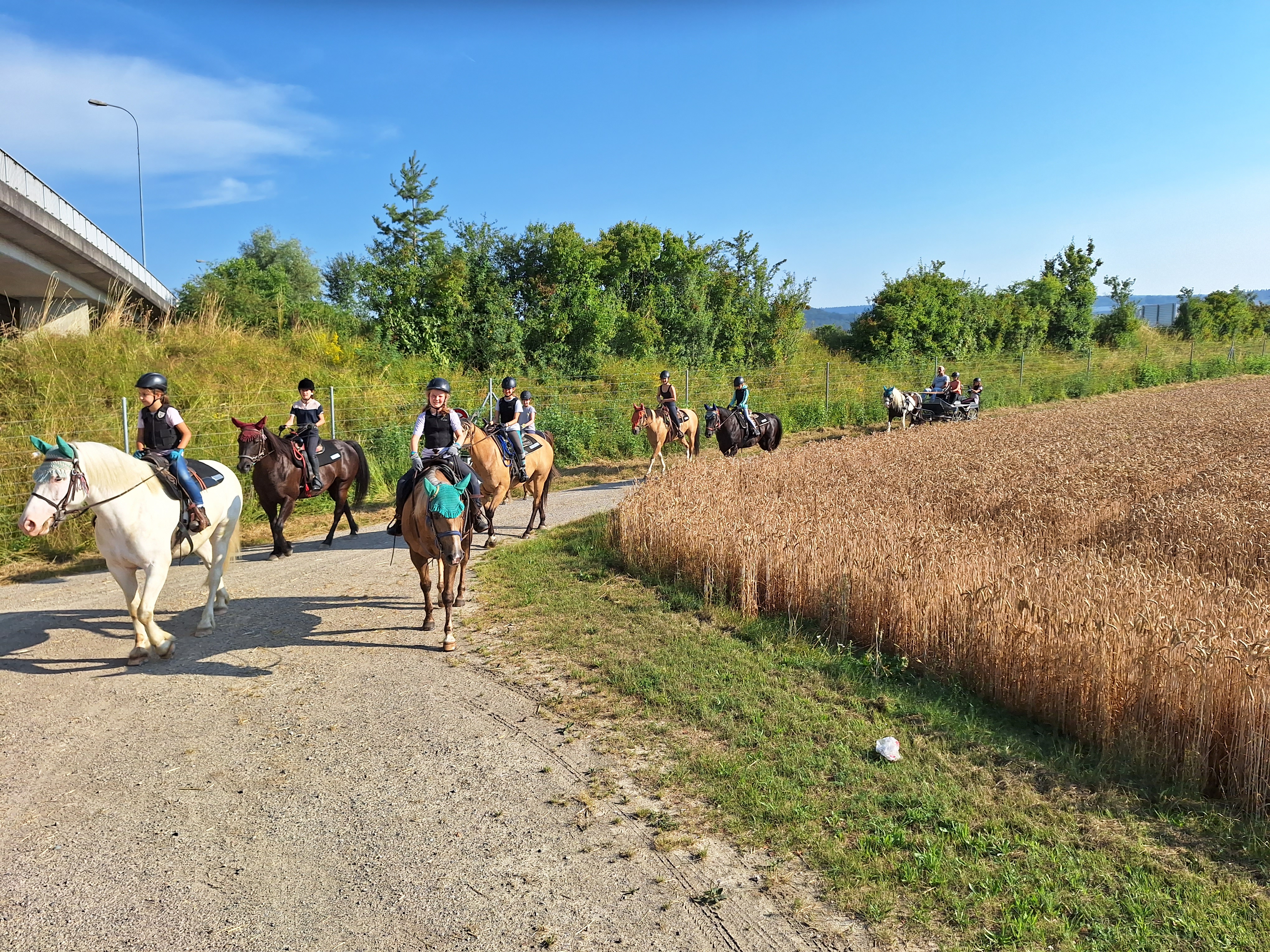 Reitlager 1 vom 8.-13.7.23 (96)