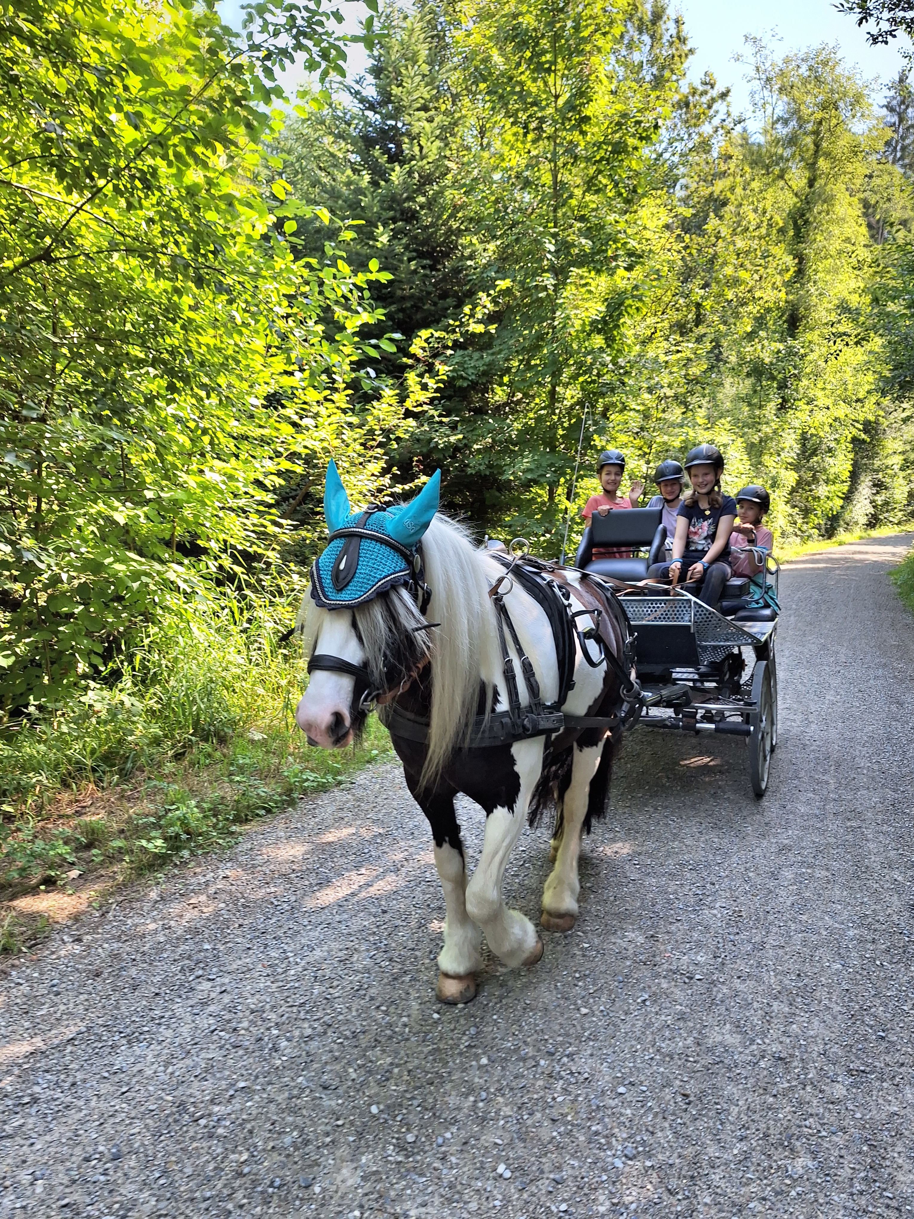 Reitlager 1 vom 8.-13.7.23 (44)