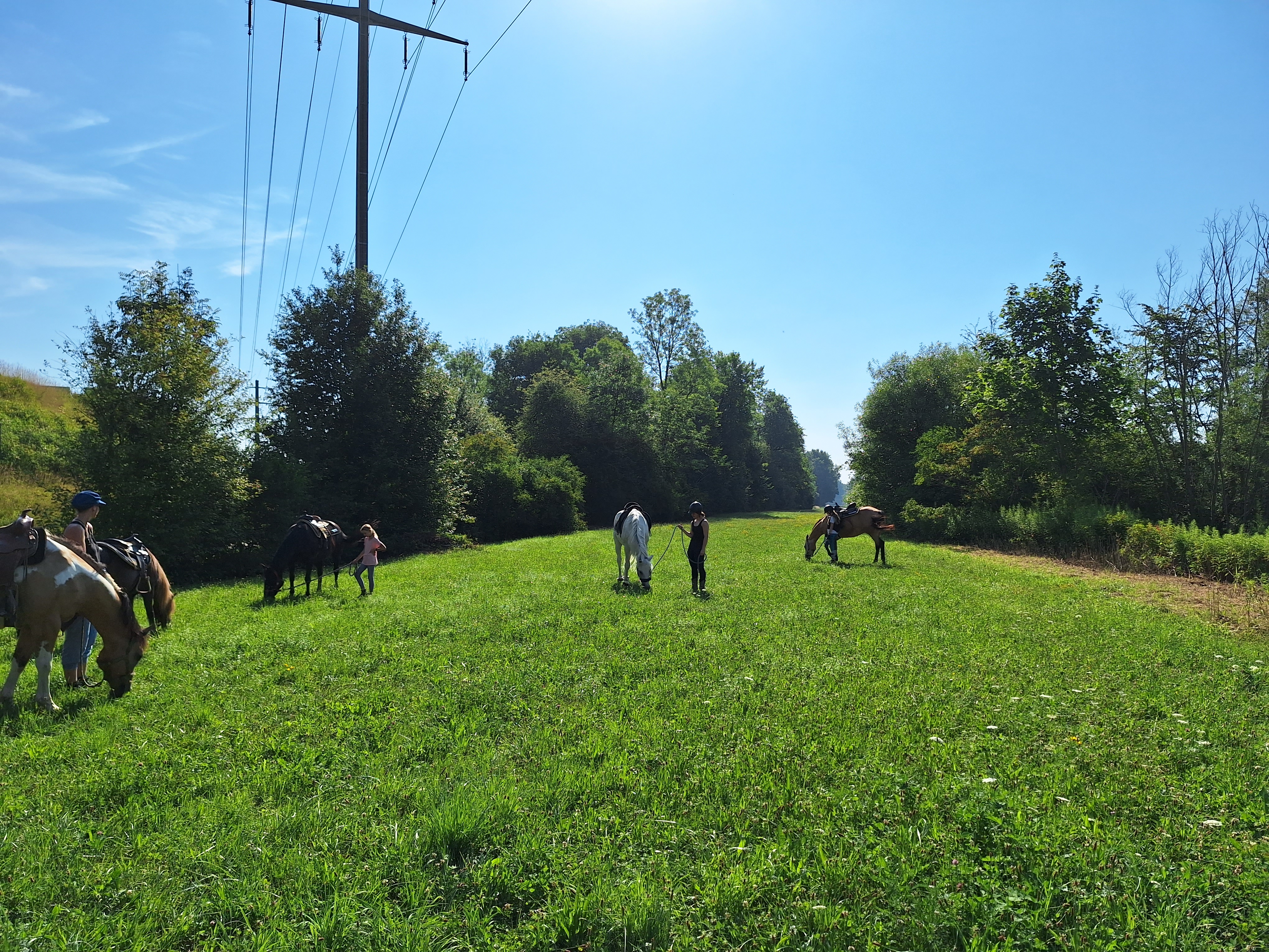 Reitlager 1 vom 8.-13.7.23 (102)