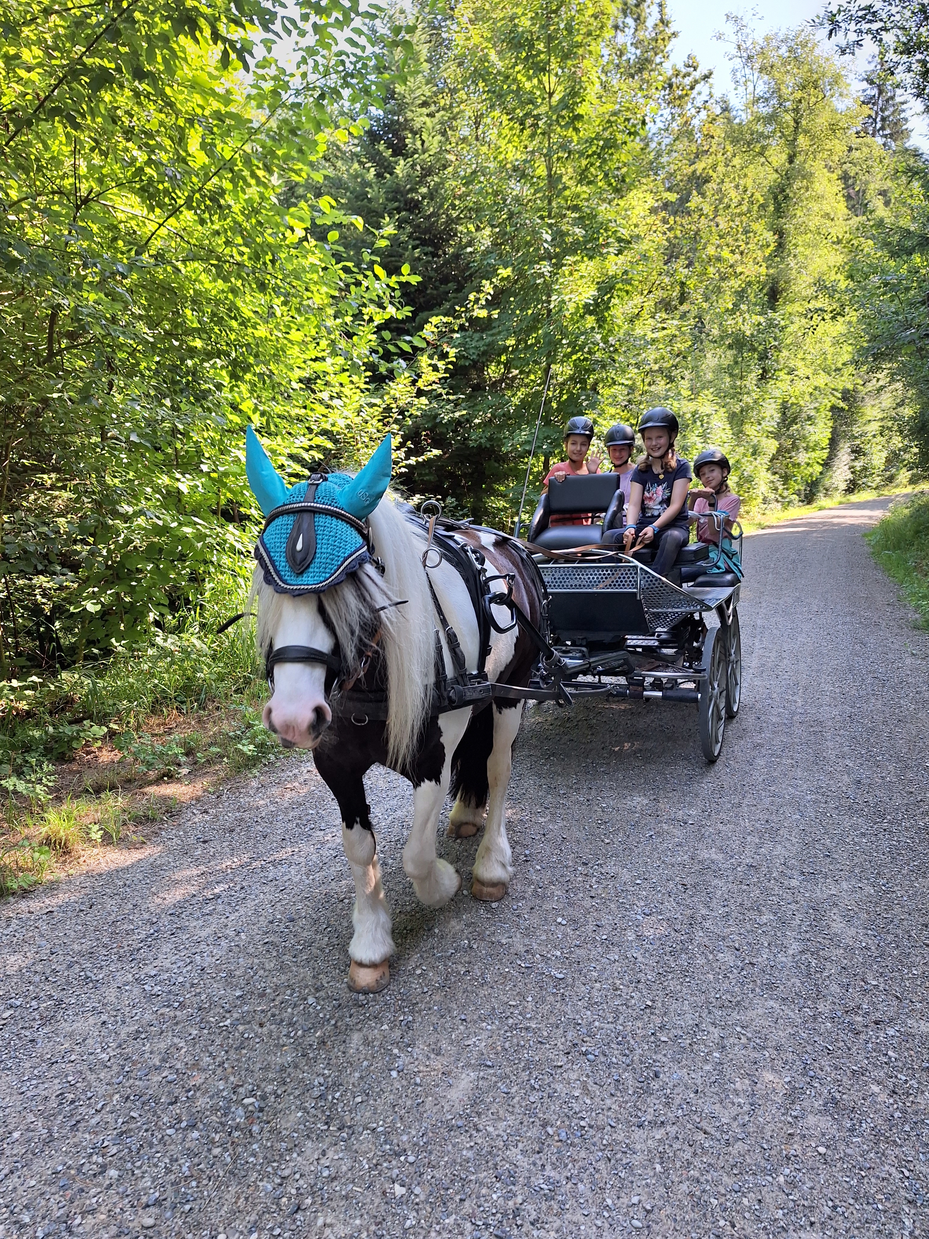 Reitlager 1 vom 8.-13.7.23 (45)