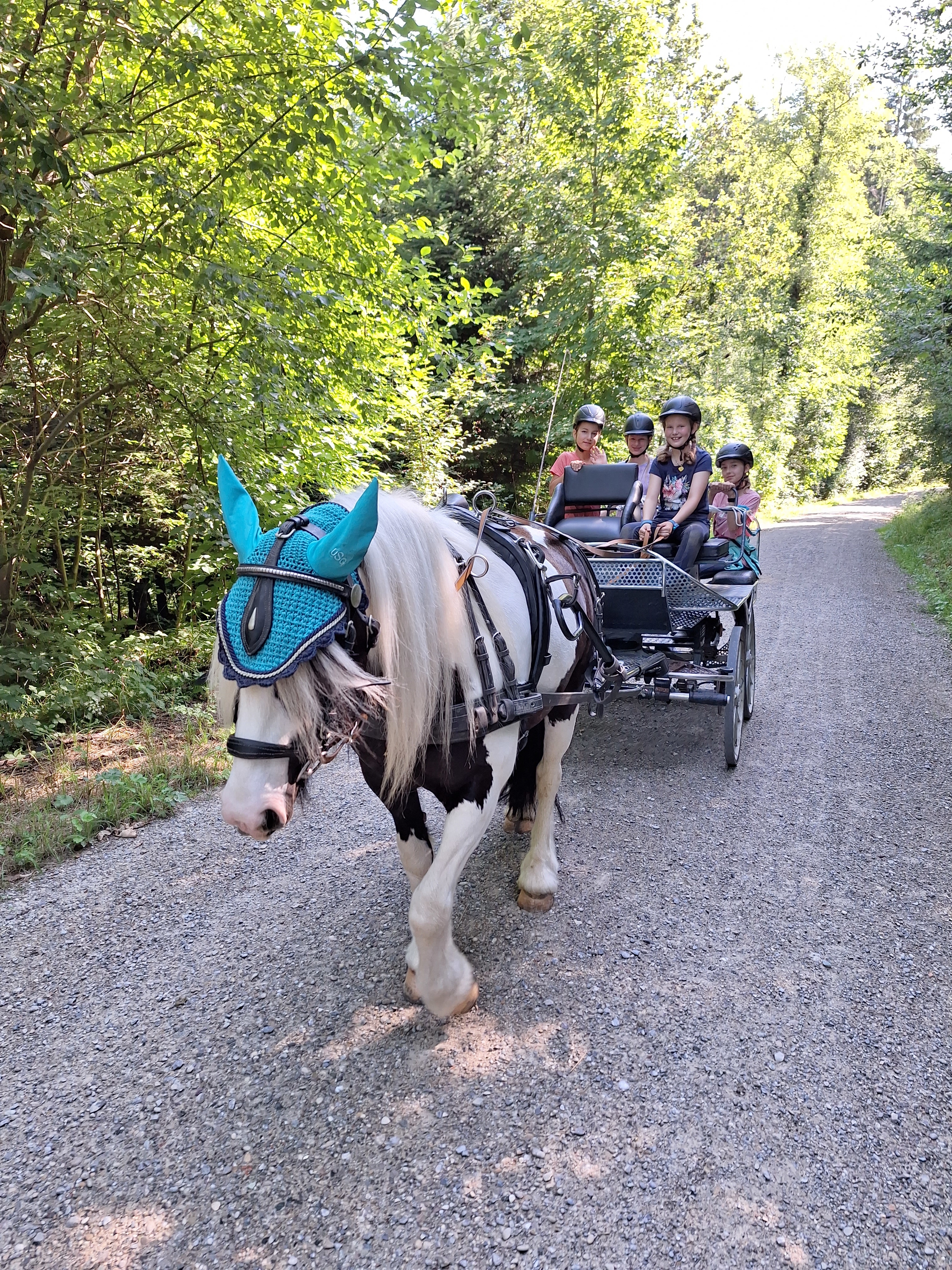 Reitlager 1 vom 8.-13.7.23 (46)