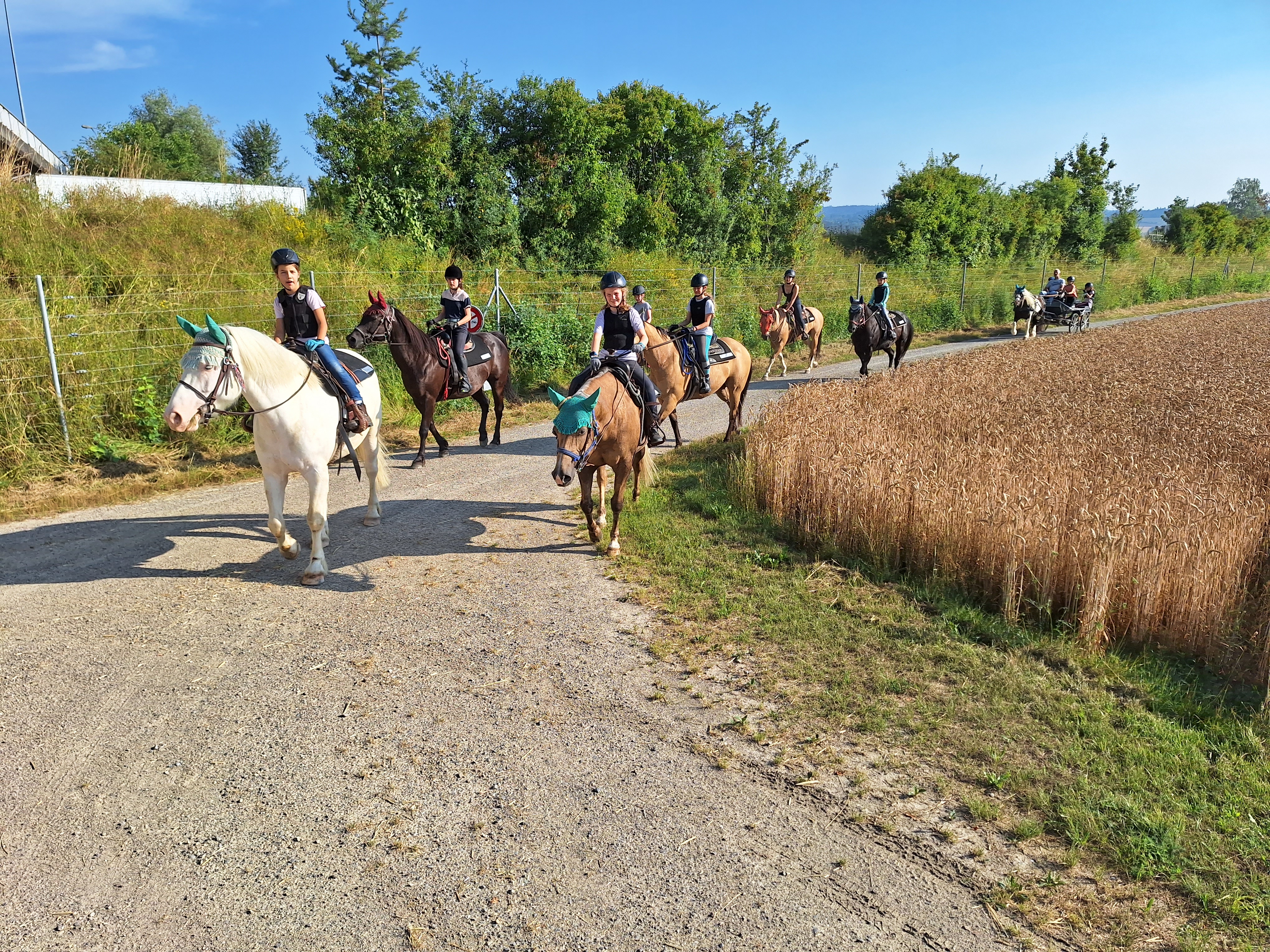 Reitlager 1 vom 8.-13.7.23 (95)