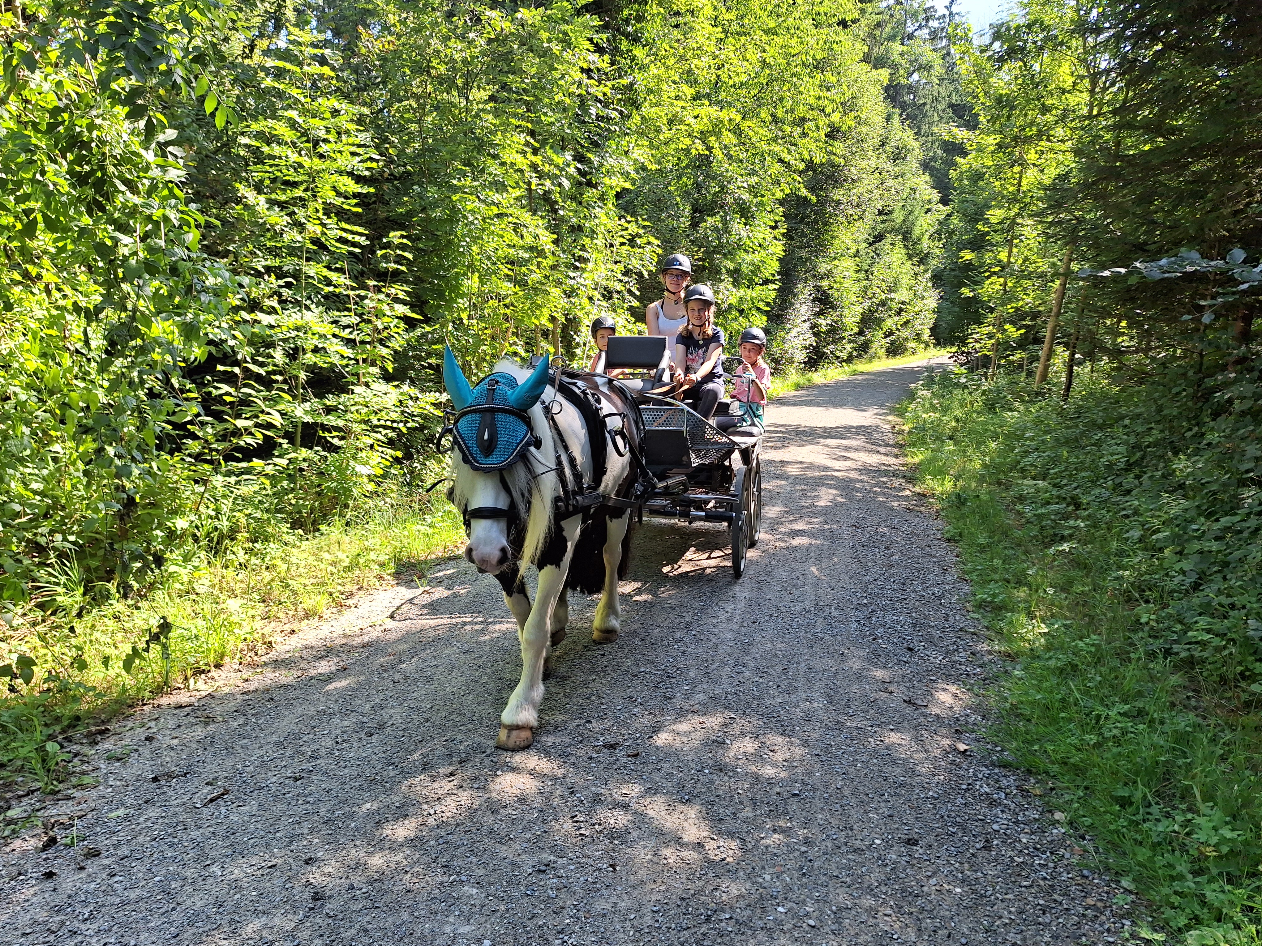 Reitlager 1 vom 8.-13.7.23 (41)