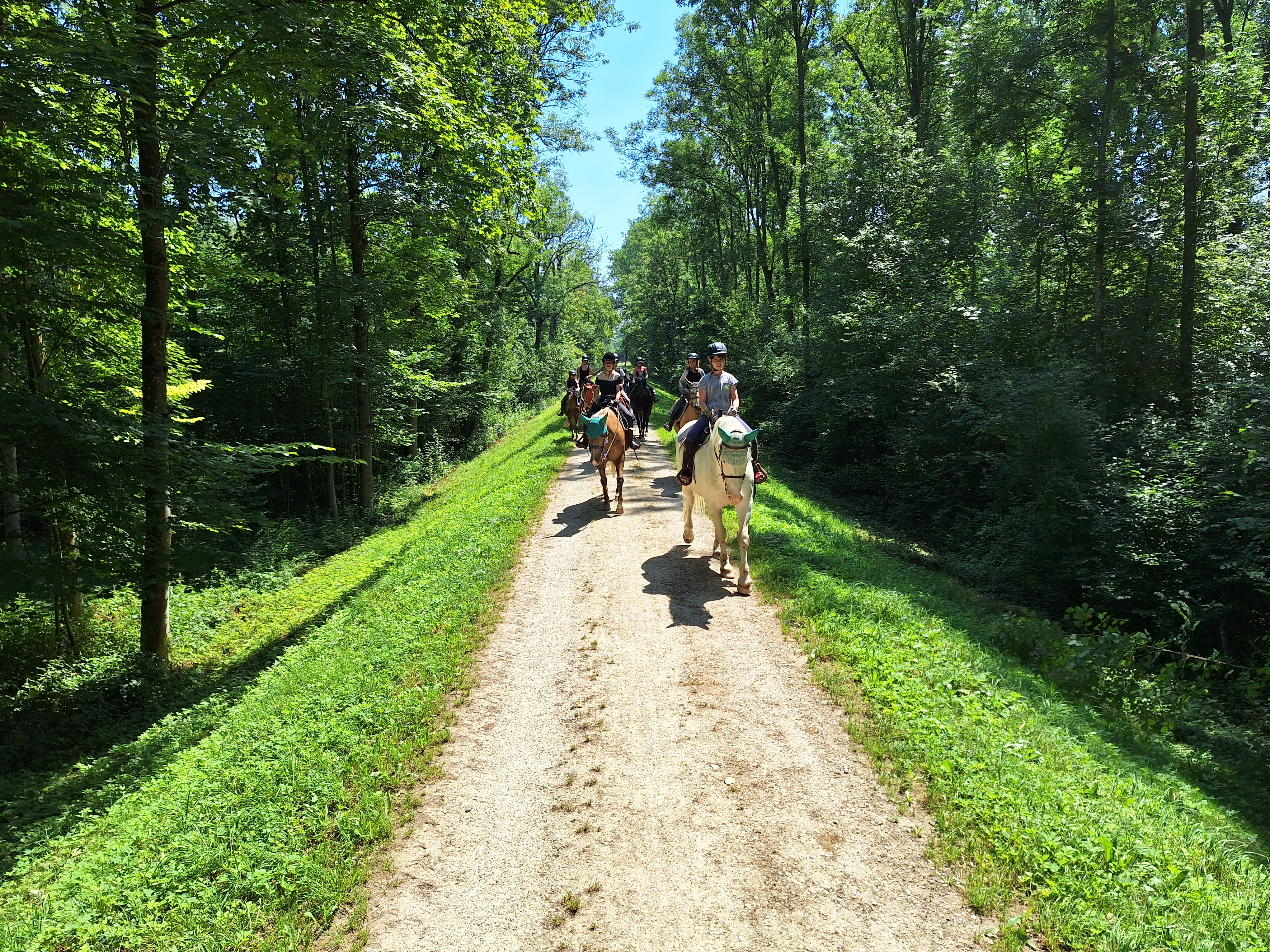 Reitlager 1 vom 8.-13.7.23 (114)