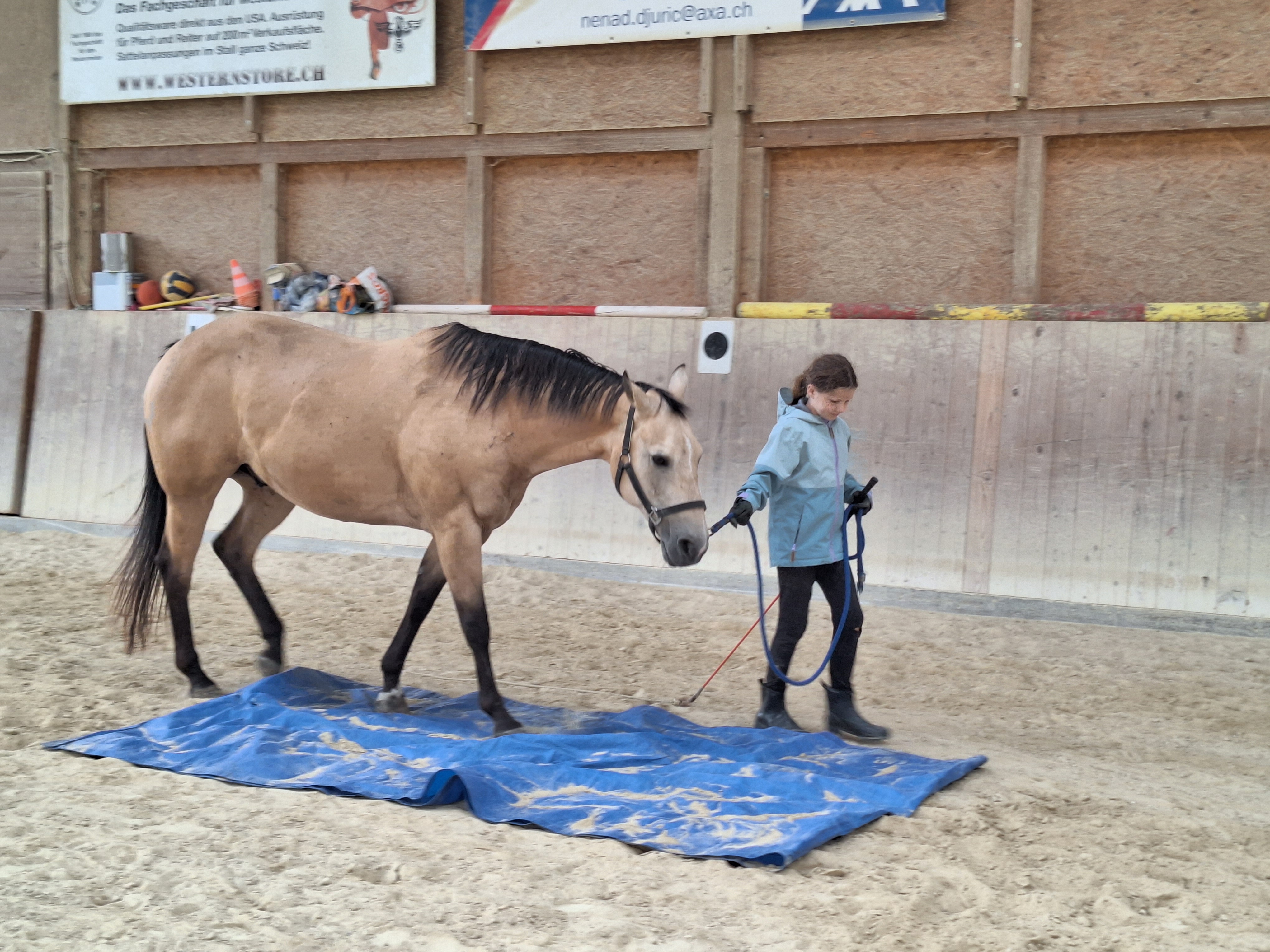 Reitlager 1 vom 8.-13.7.23 (162)