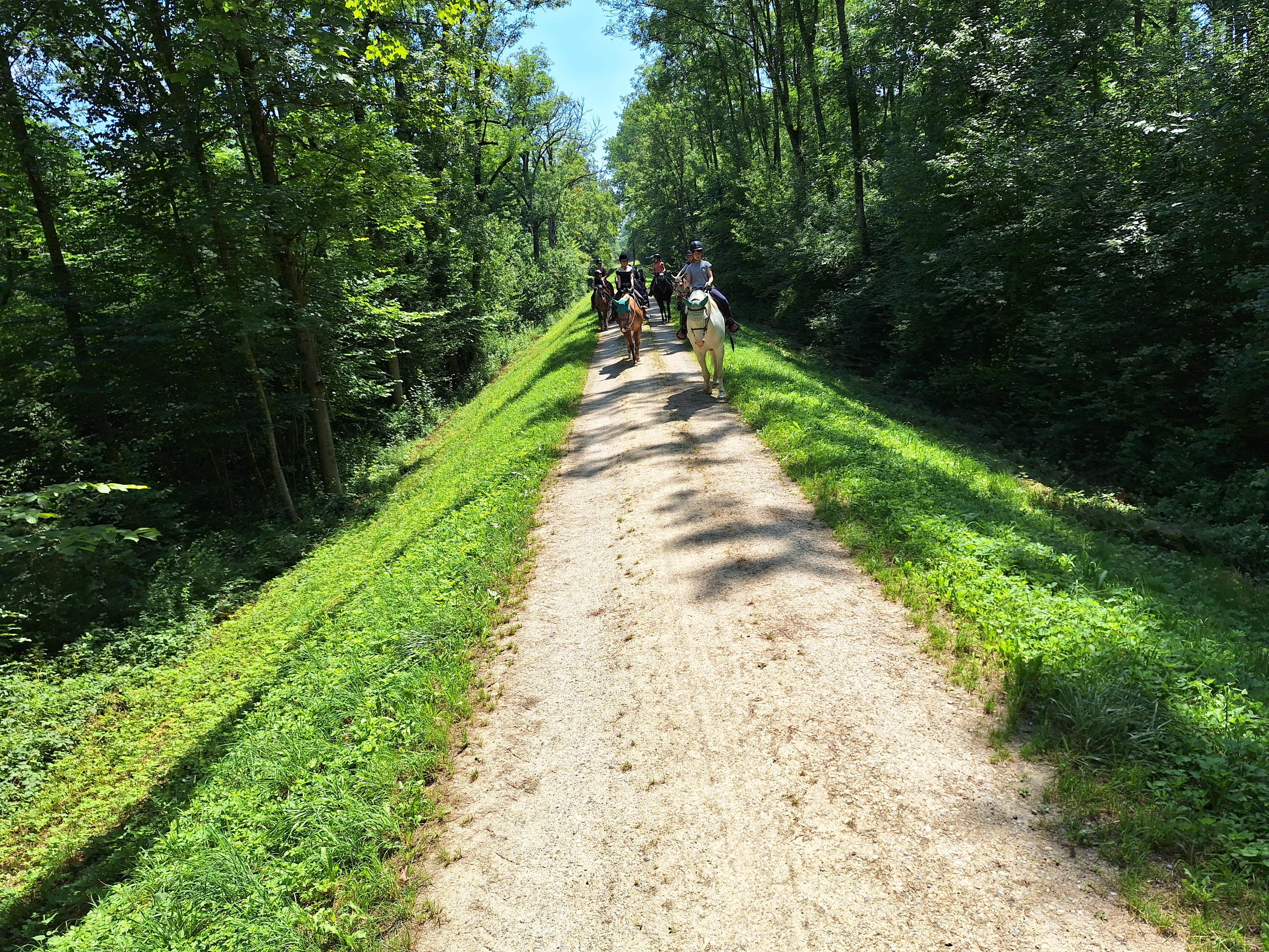 Reitlager 1 vom 8.-13.7.23 (112)
