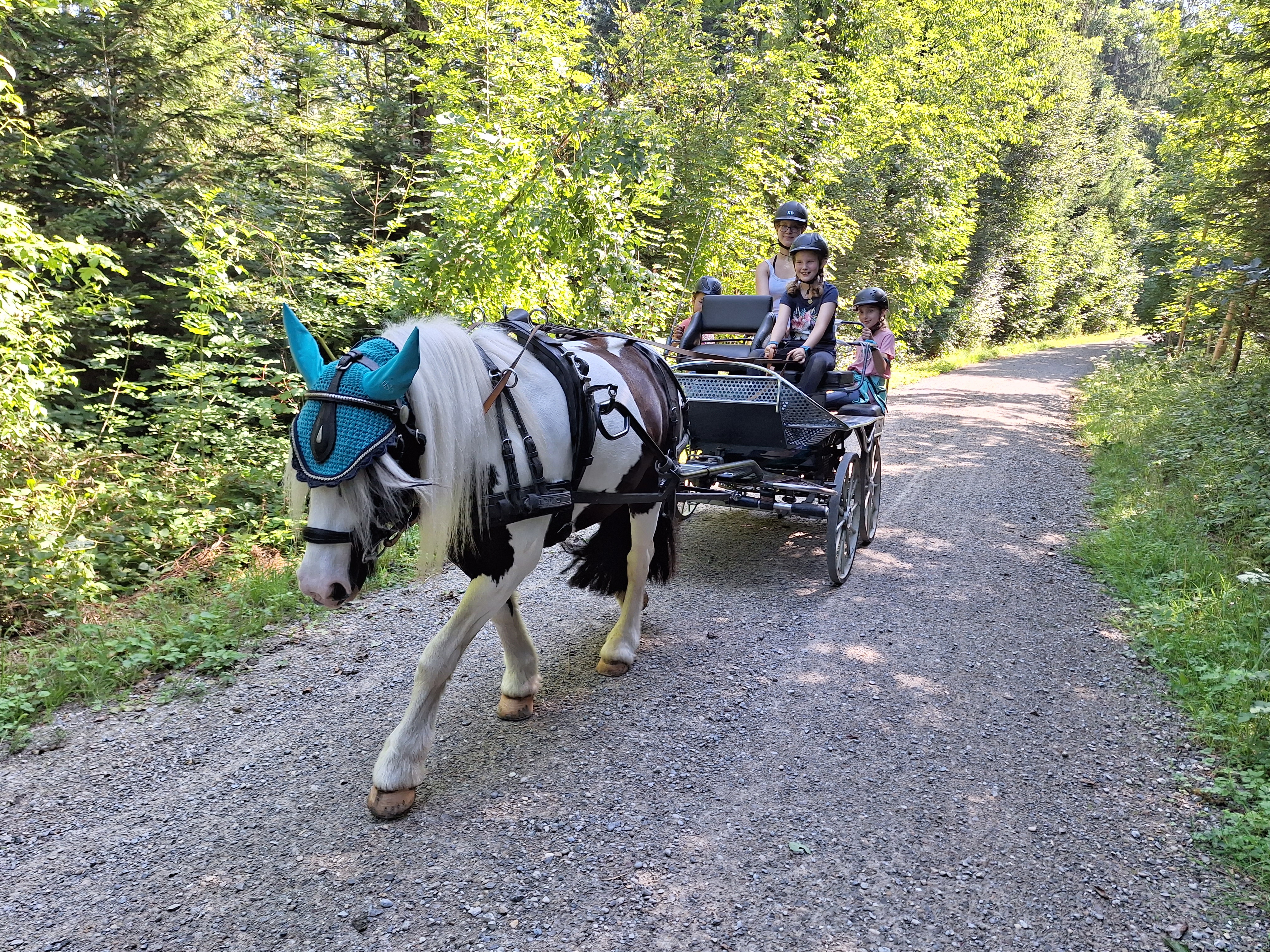 Reitlager 1 vom 8.-13.7.23 (43)