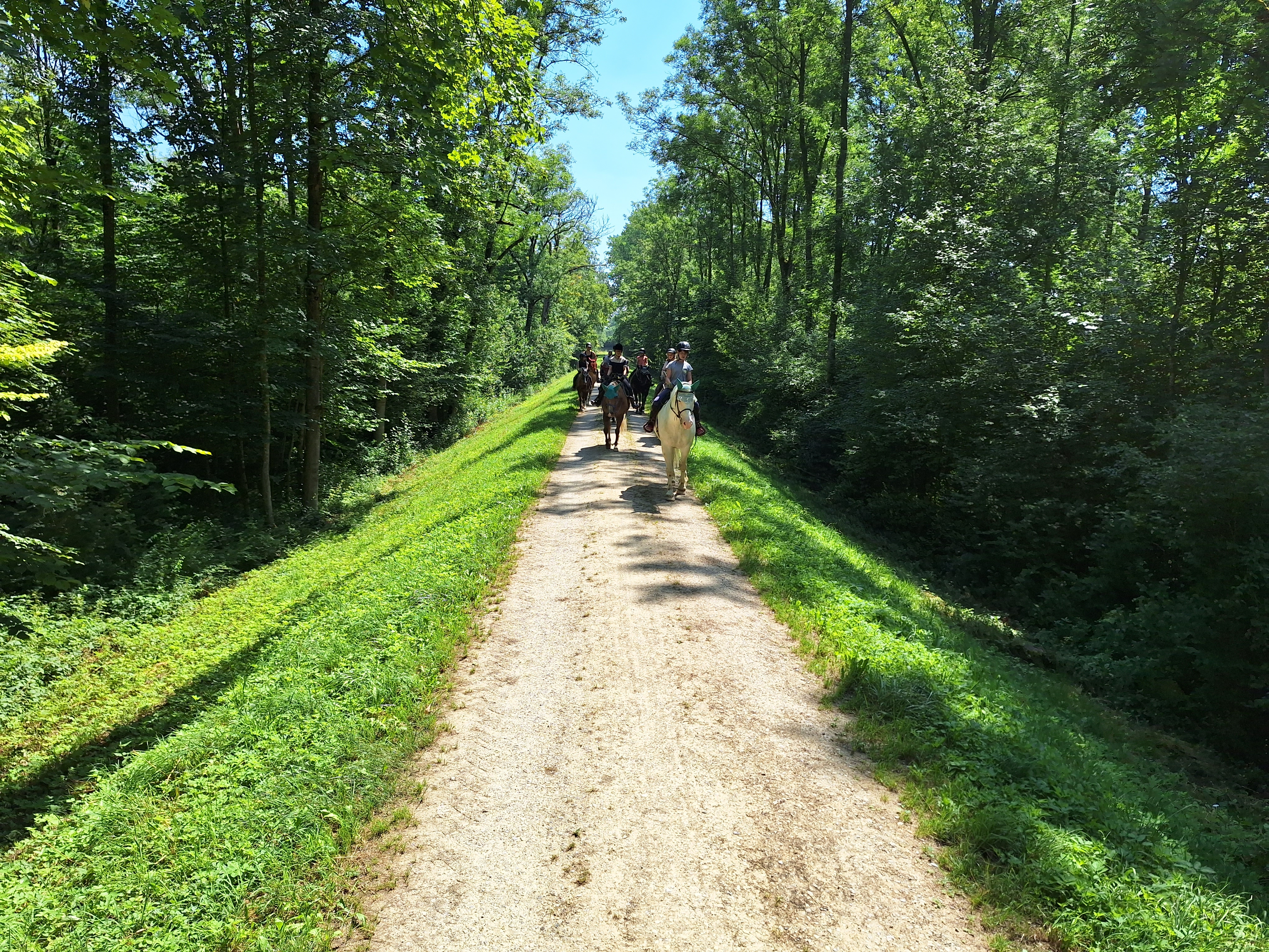 Reitlager 1 vom 8.-13.7.23 (113)