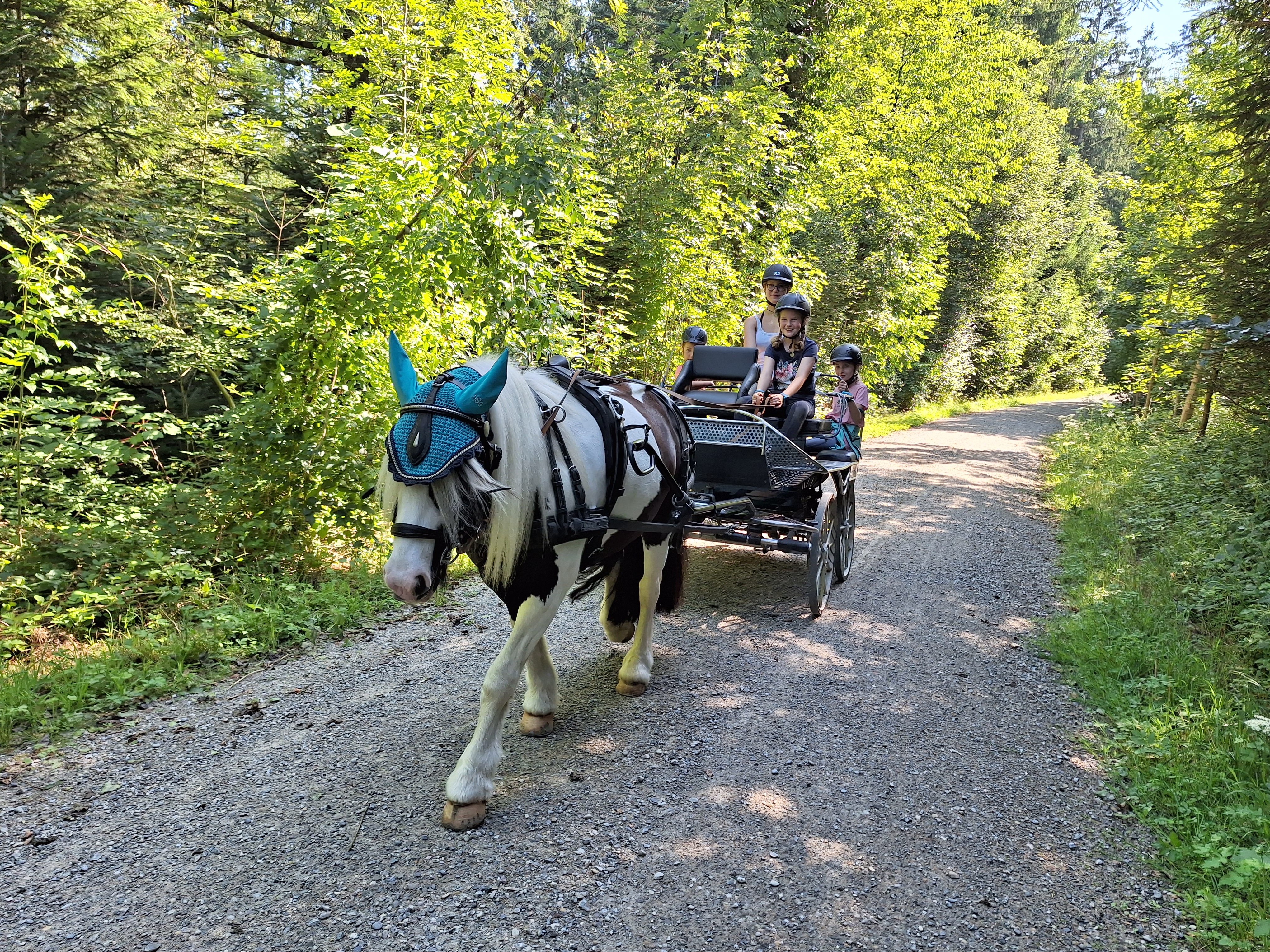 Reitlager 1 vom 8.-13.7.23 (42)