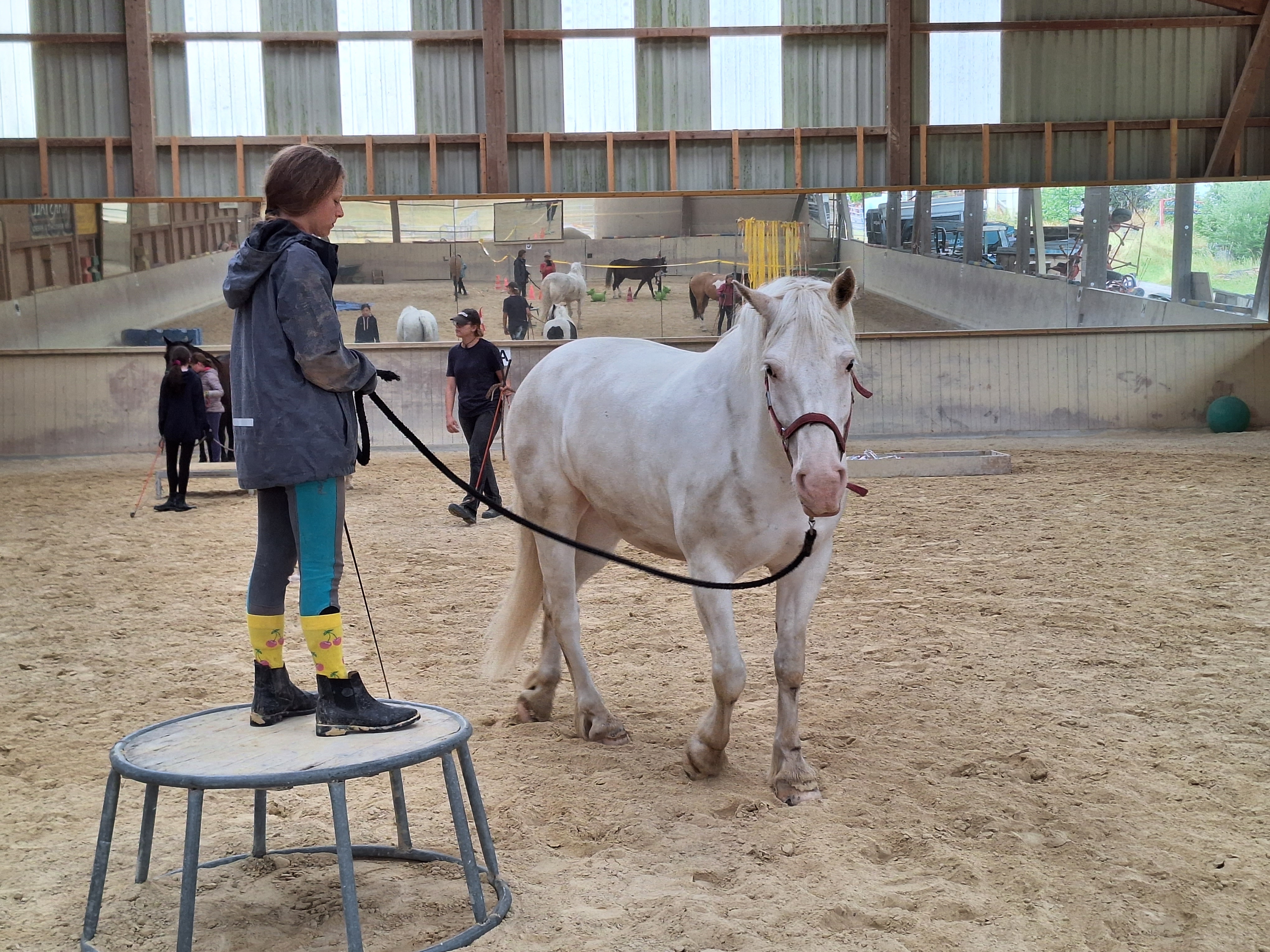 Reitlager 1 vom 8.-13.7.23 (161)