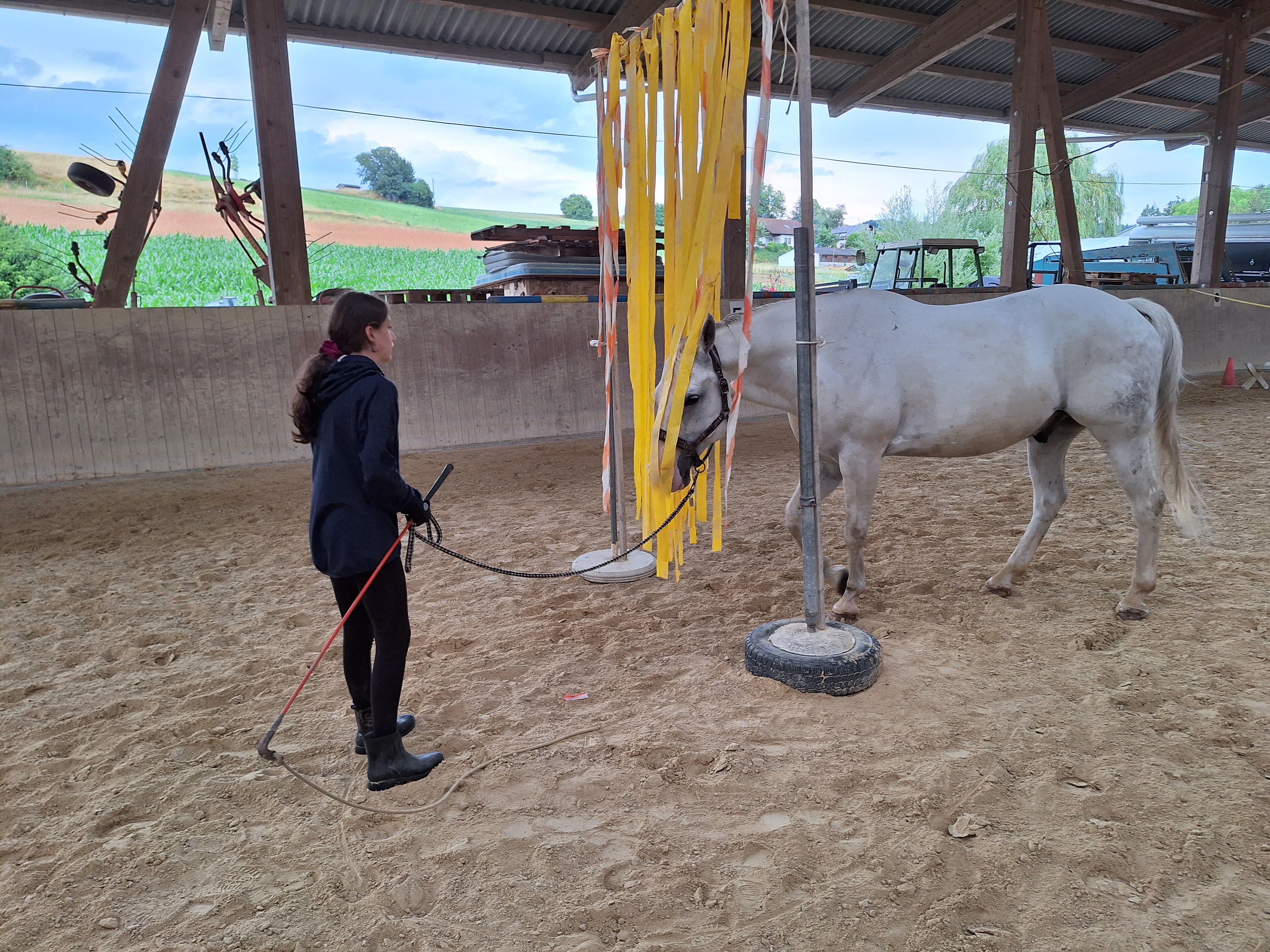 Reitlager 1 vom 8.-13.7.23 (153)