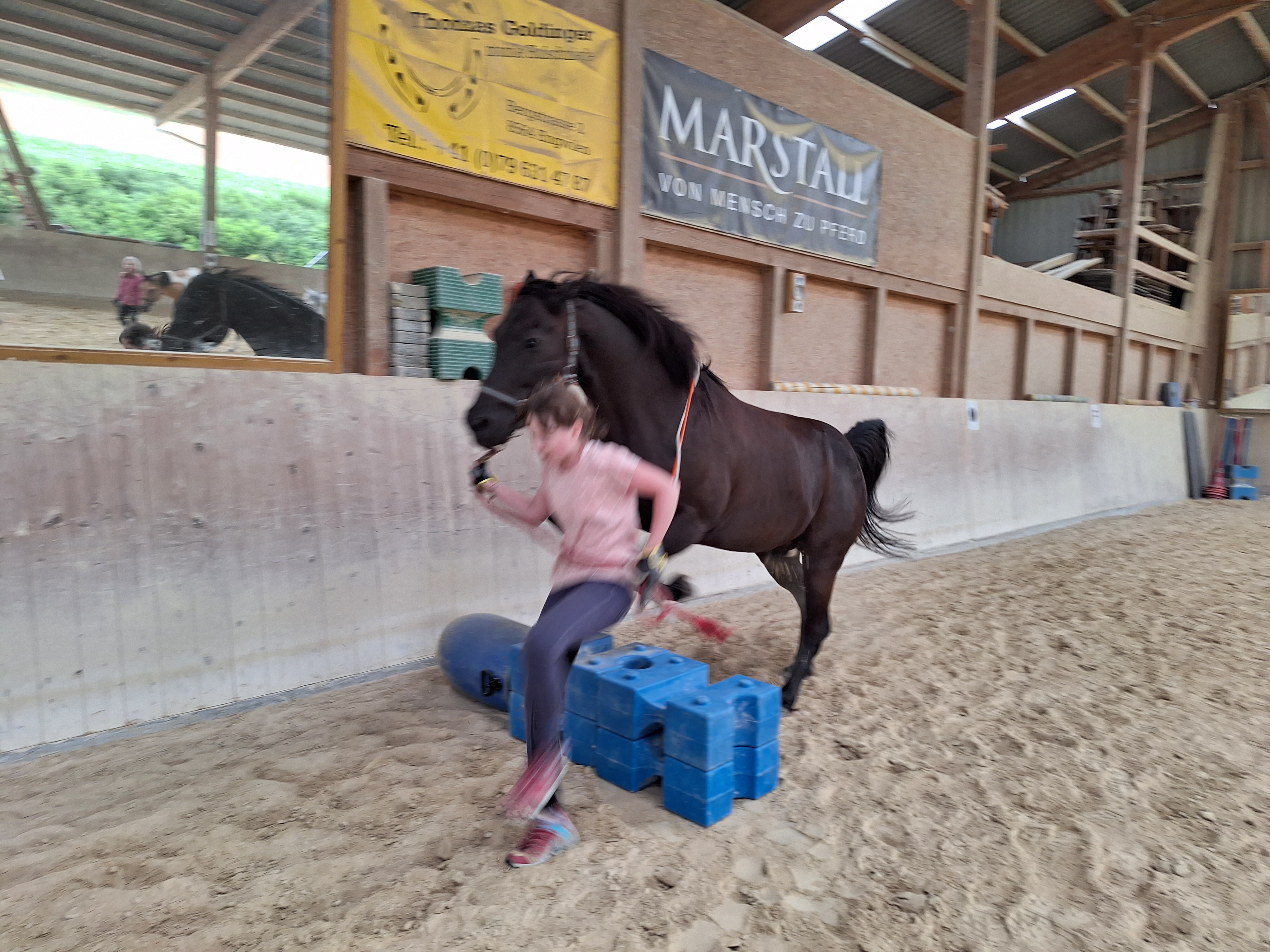 Reitlager 1 vom 8.-13.7.23 (175)