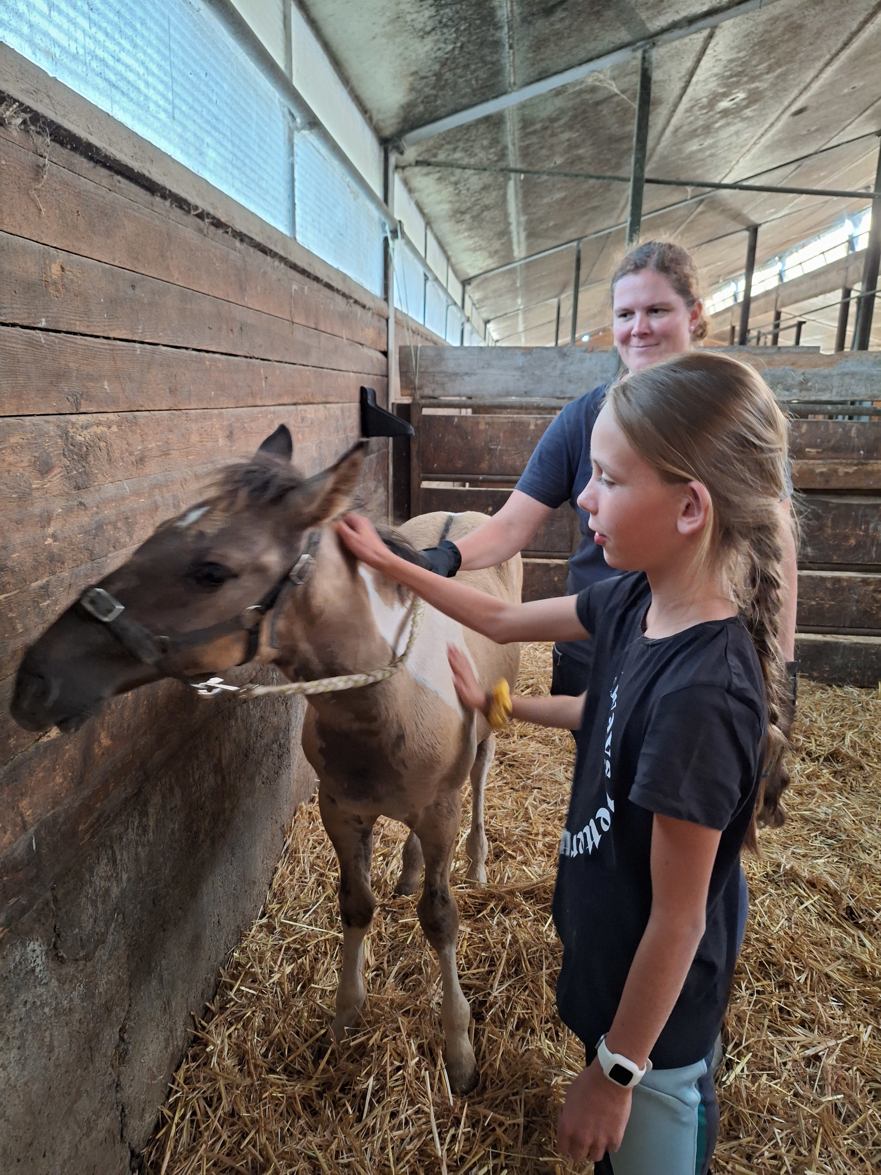 Reitlager 2 vom 5.-10.8.23 (12)