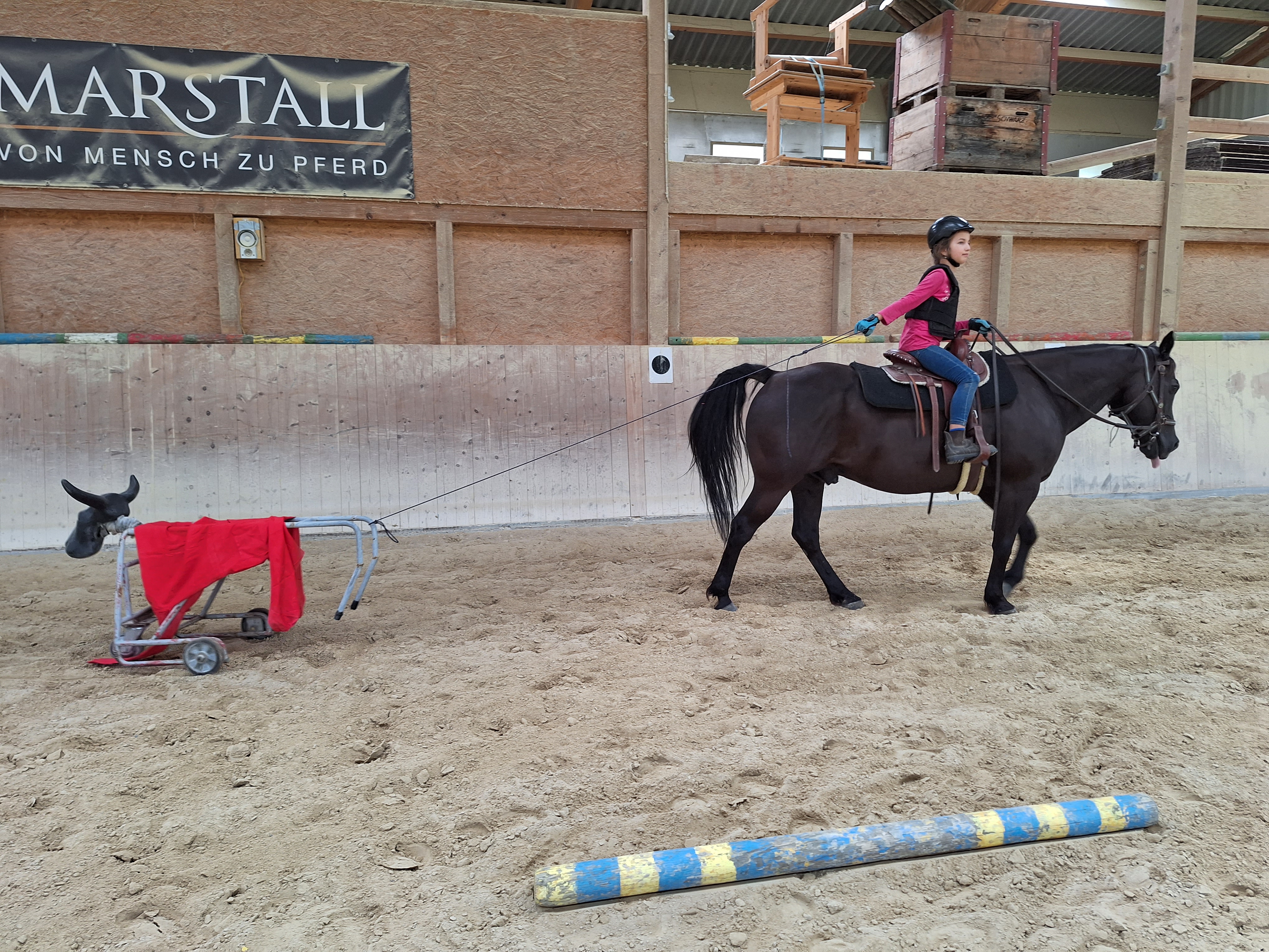 Reitlager 2 vom 5.-10.8.23 (67)