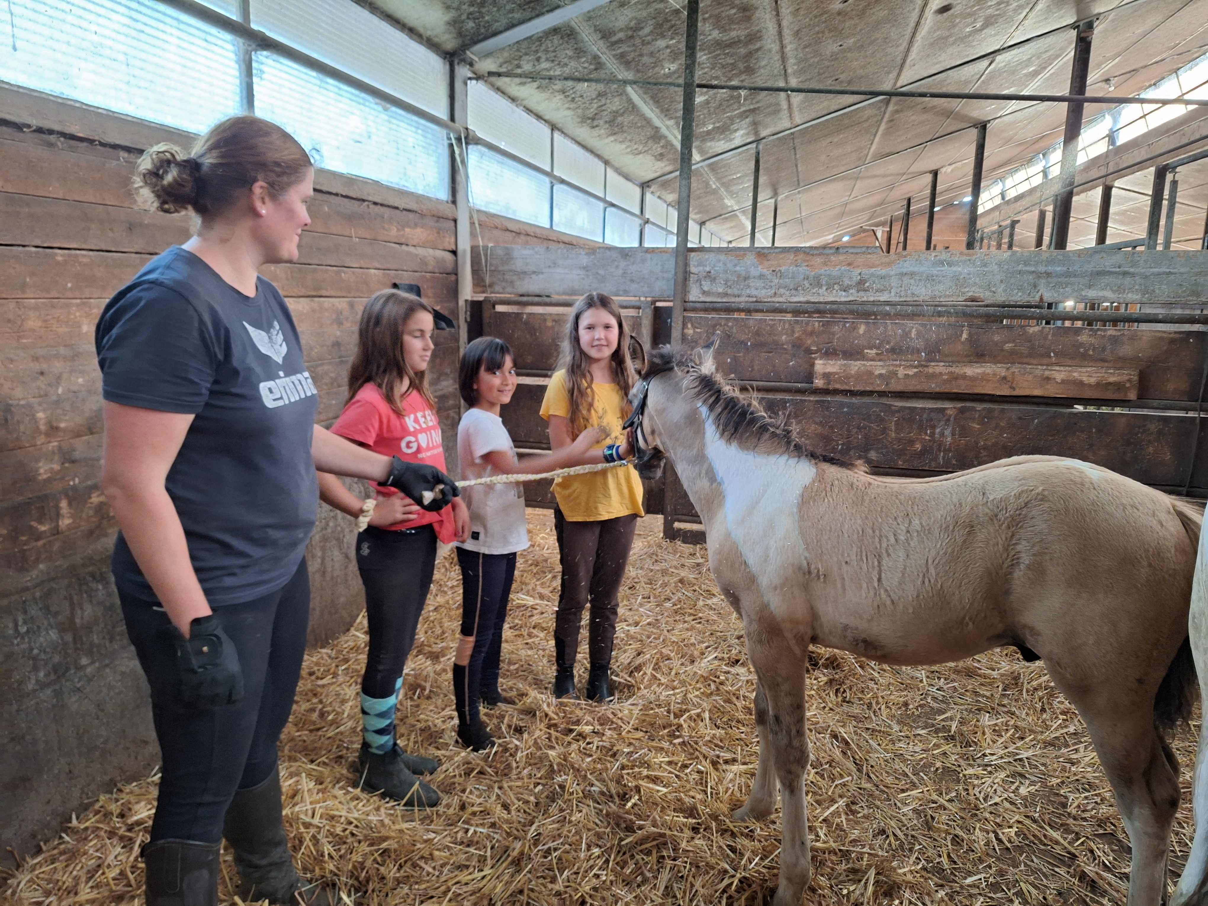 Reitlager 2 vom 5.-10.8.23 (9)