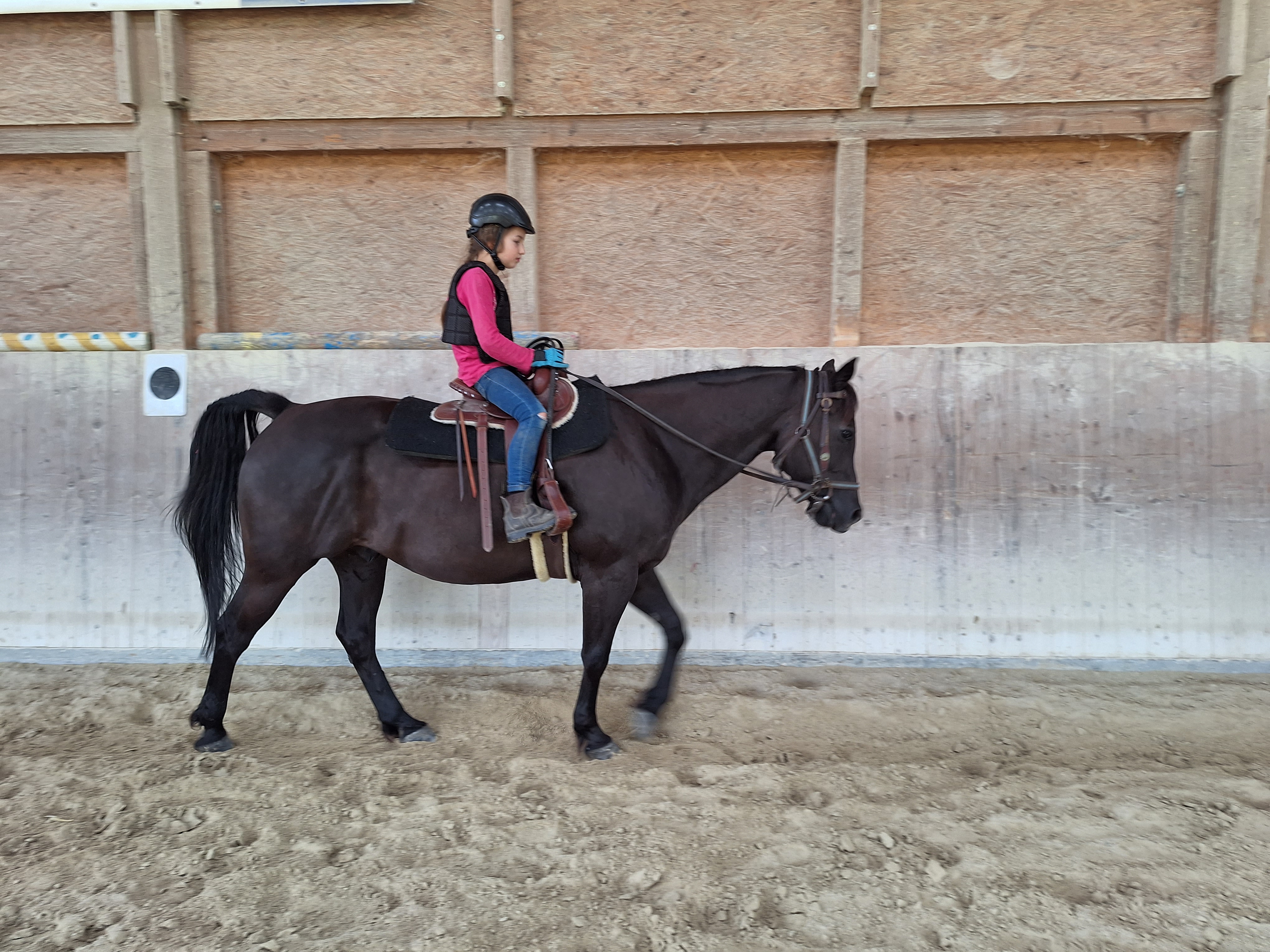 Reitlager 2 vom 5.-10.8.23 (58)