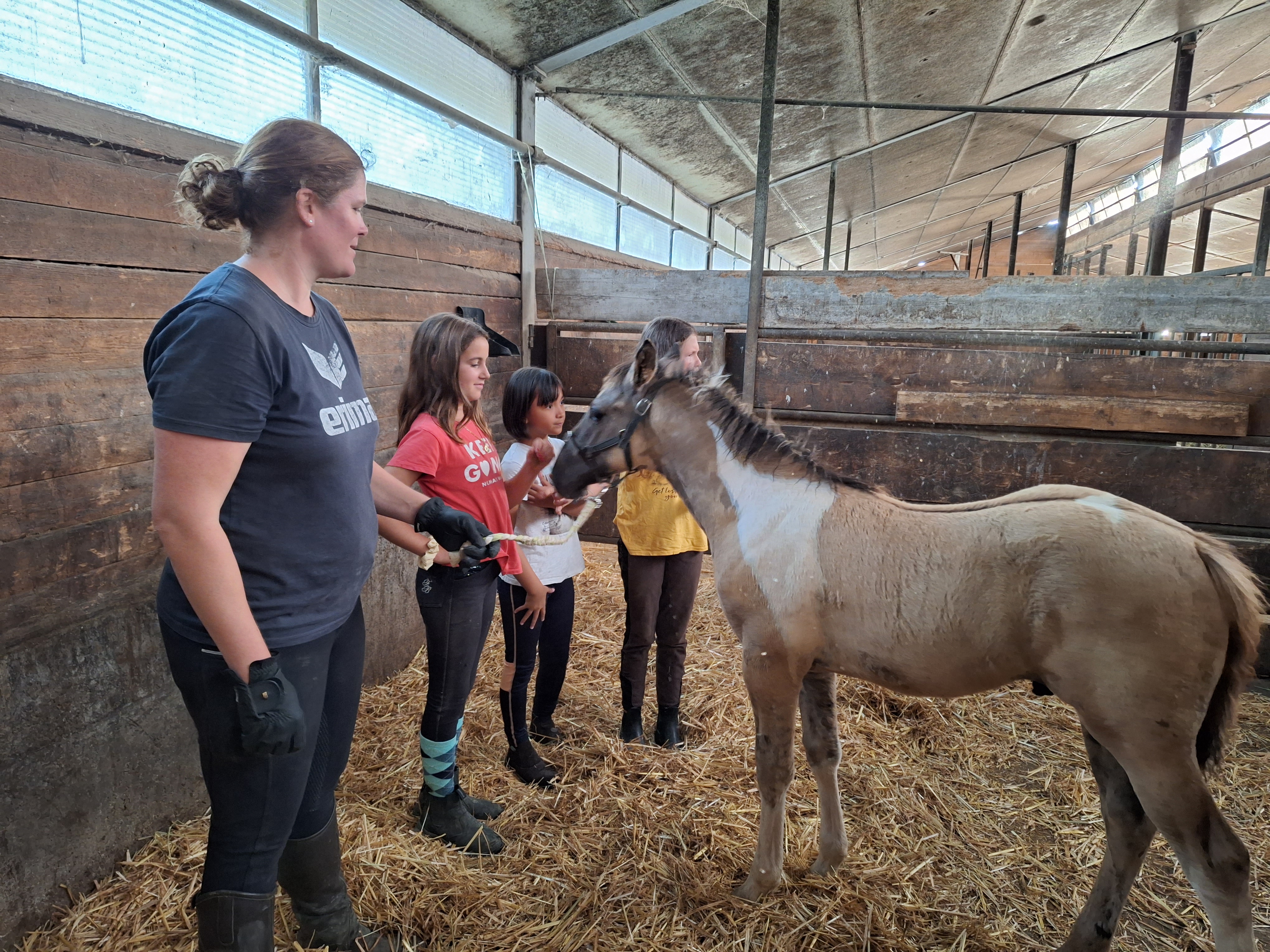 Reitlager 2 vom 5.-10.8.23 (11)
