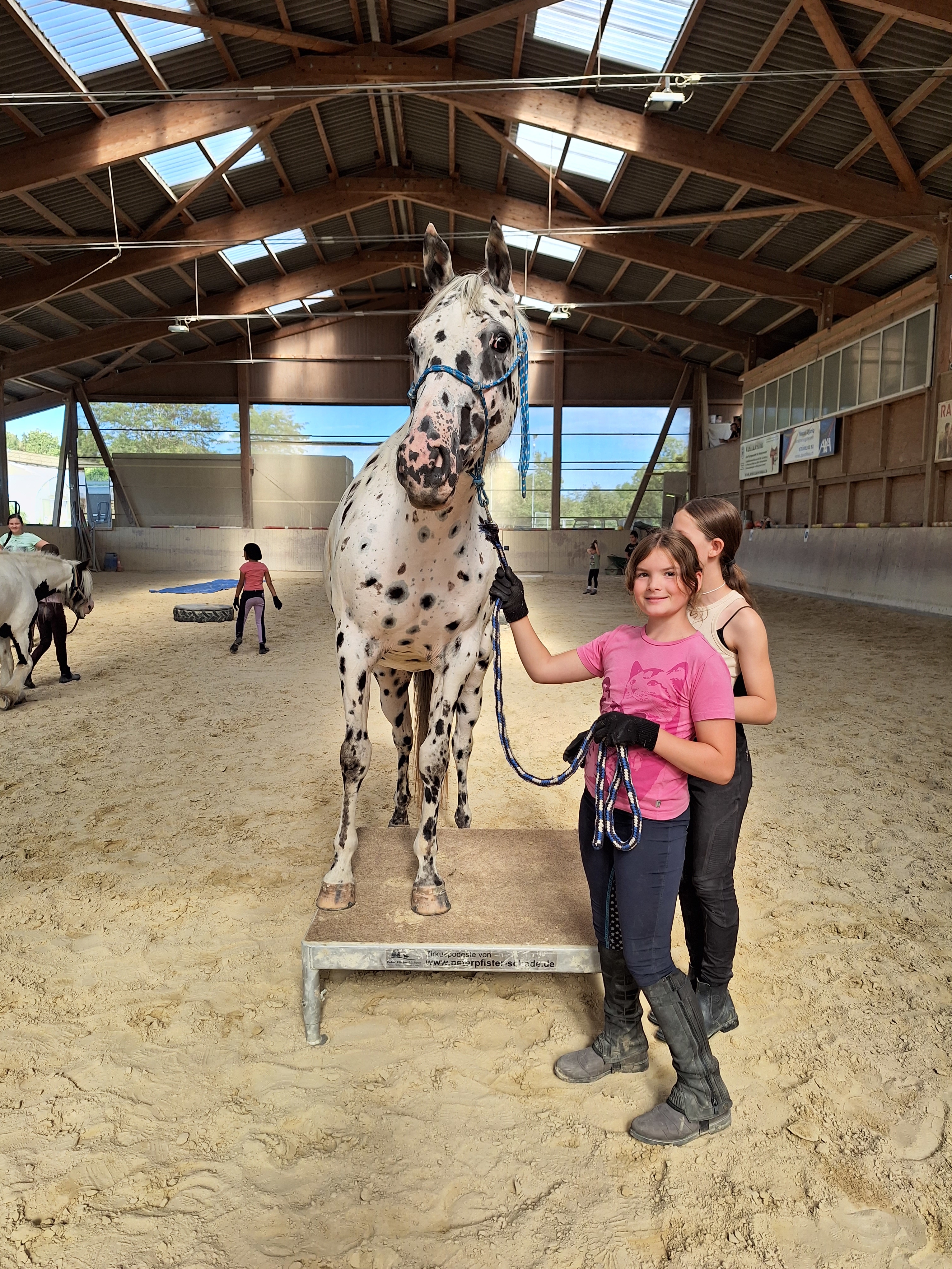 Reitlager 2 vom 5.-10.8.23 (114)