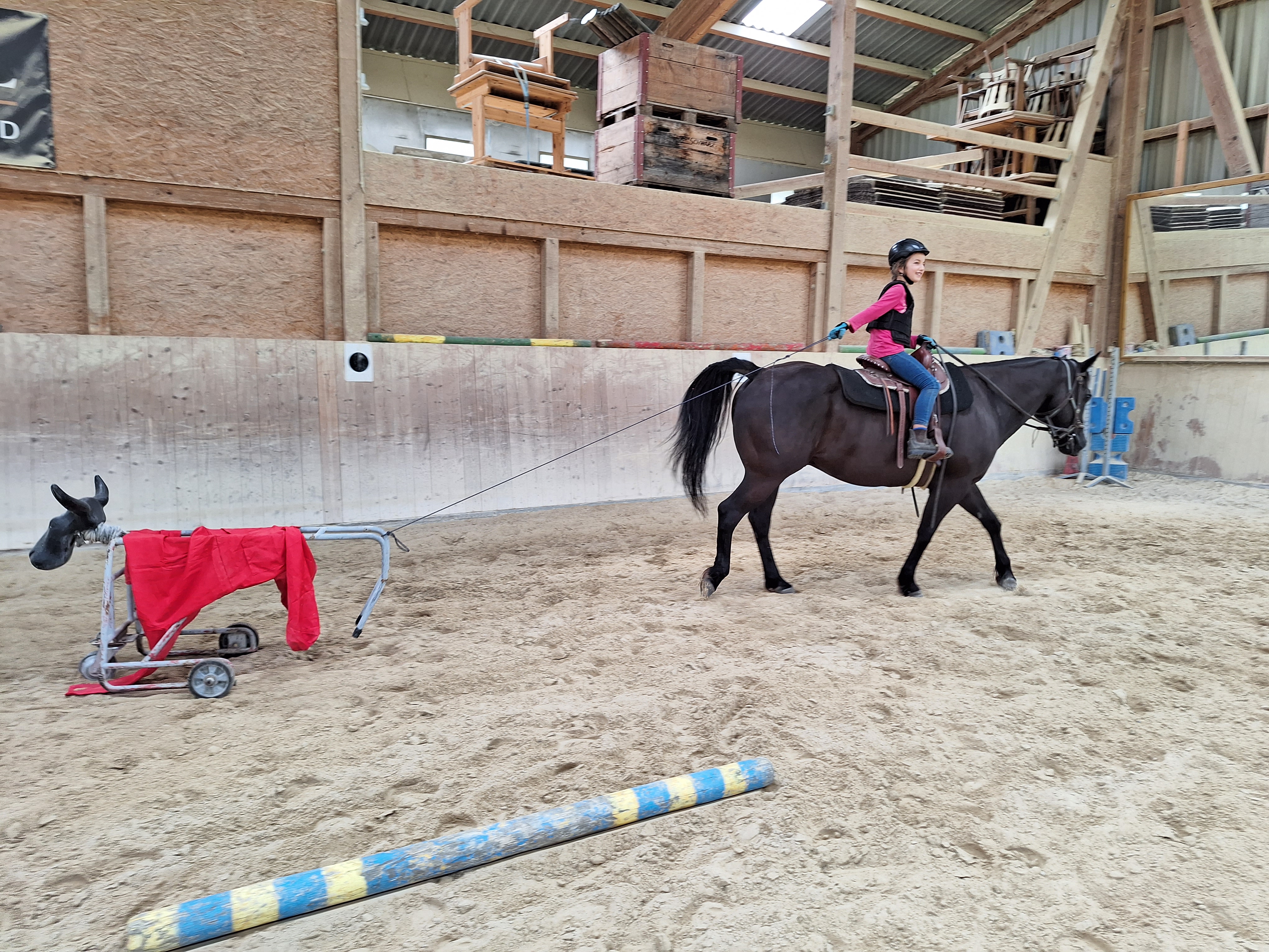 Reitlager 2 vom 5.-10.8.23 (68)