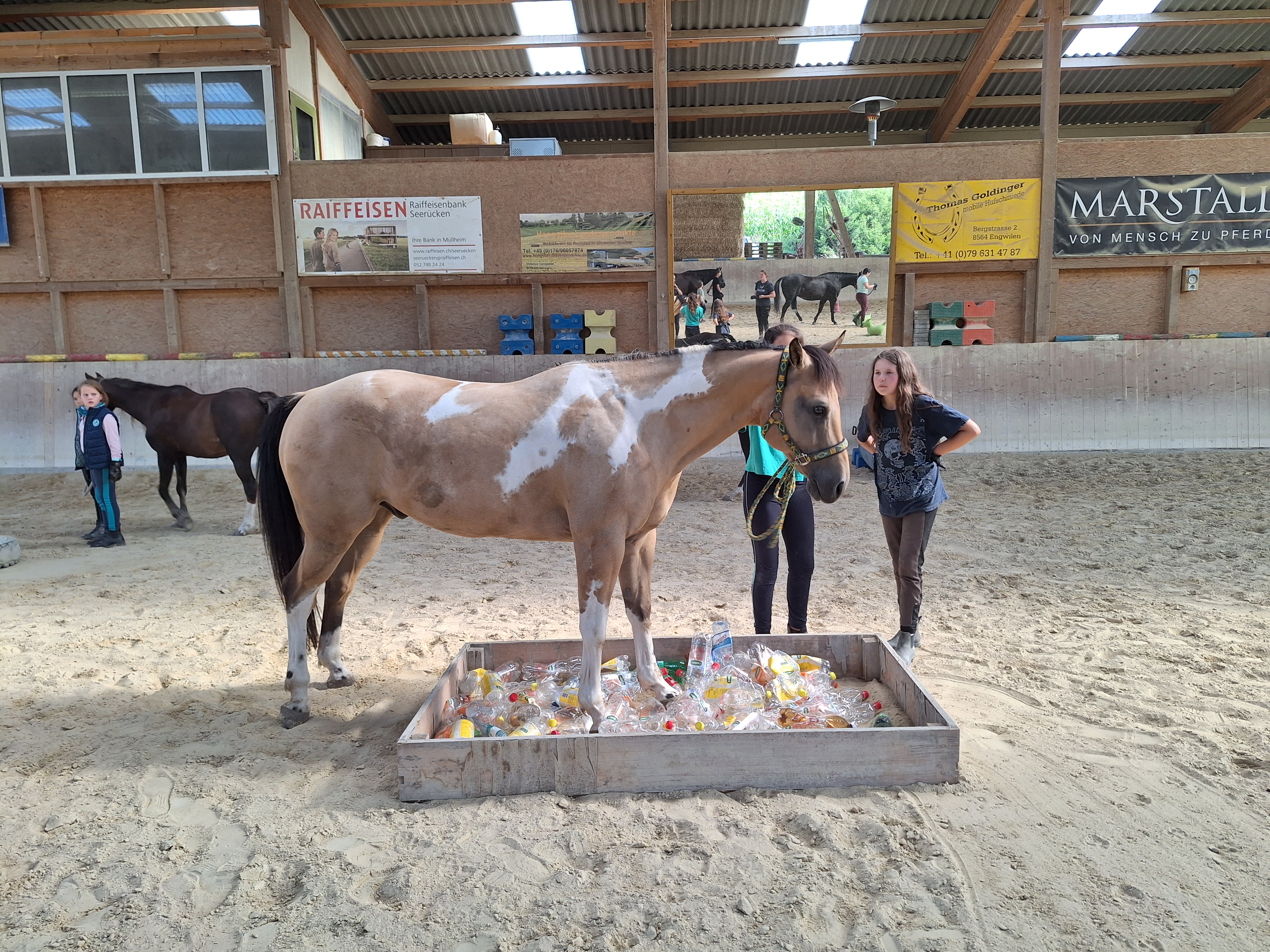 Reitlager 2 vom 5.-10.8.23 (105)