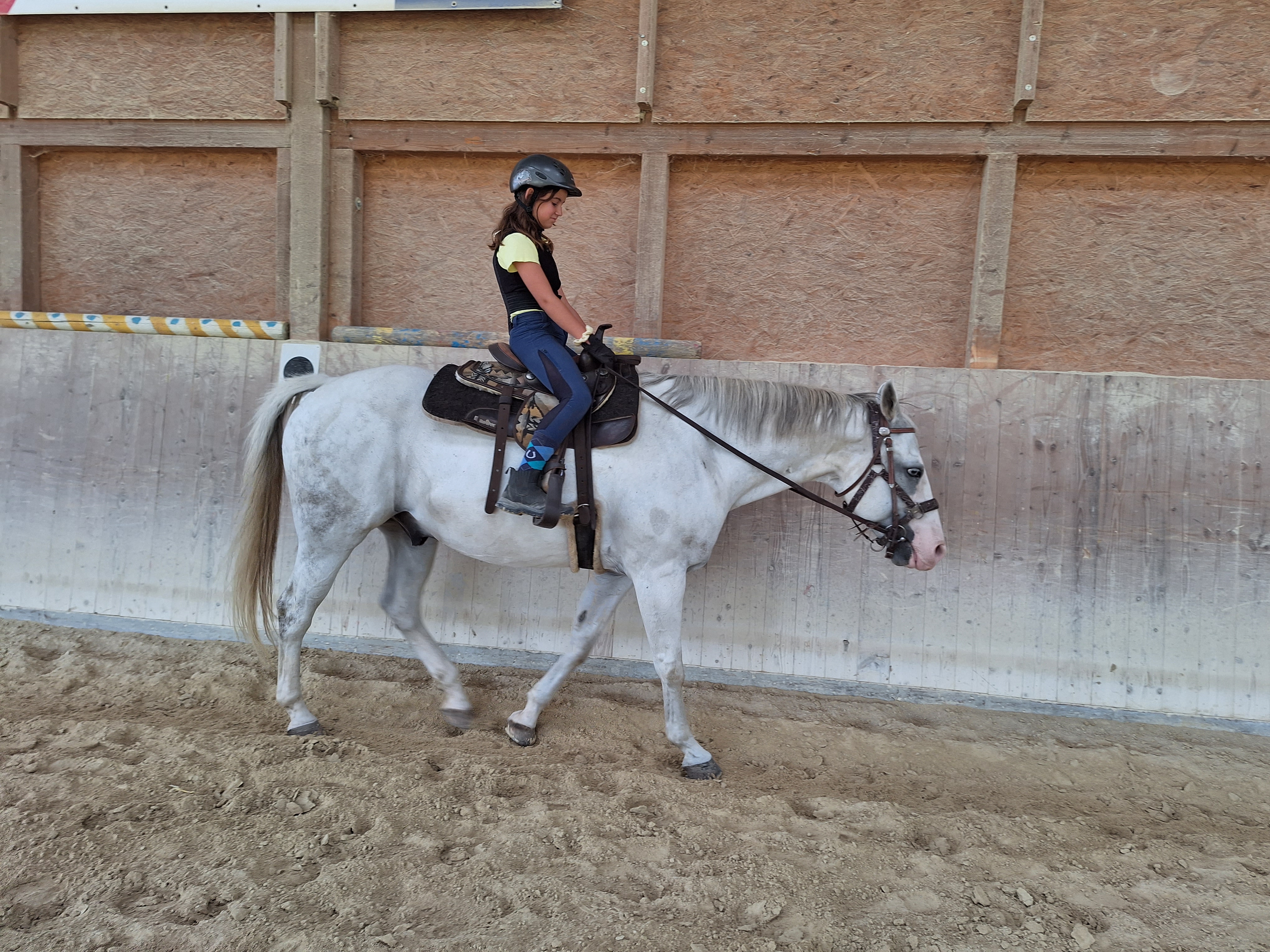 Reitlager 2 vom 5.-10.8.23 (60)