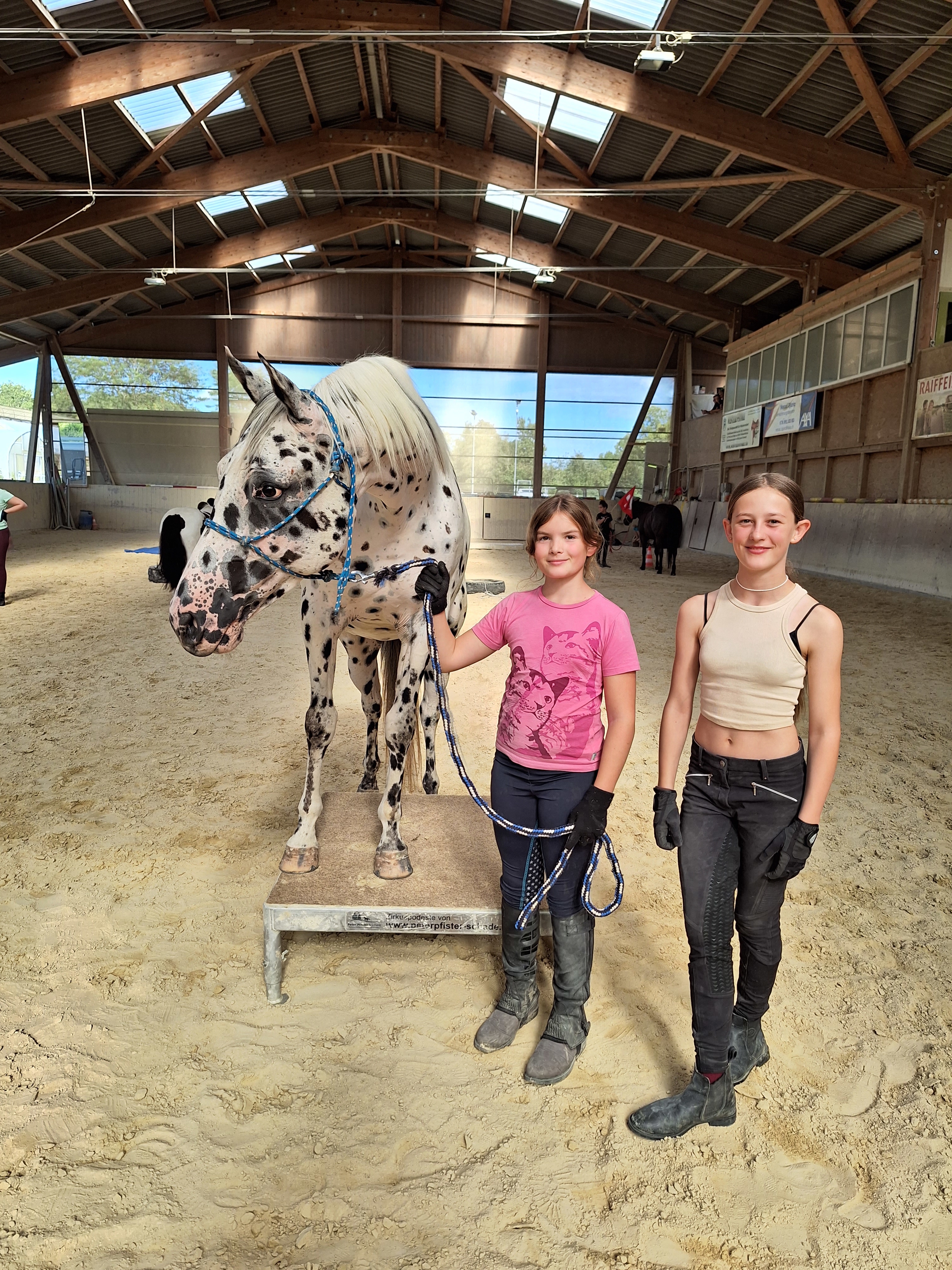 Reitlager 2 vom 5.-10.8.23 (116)