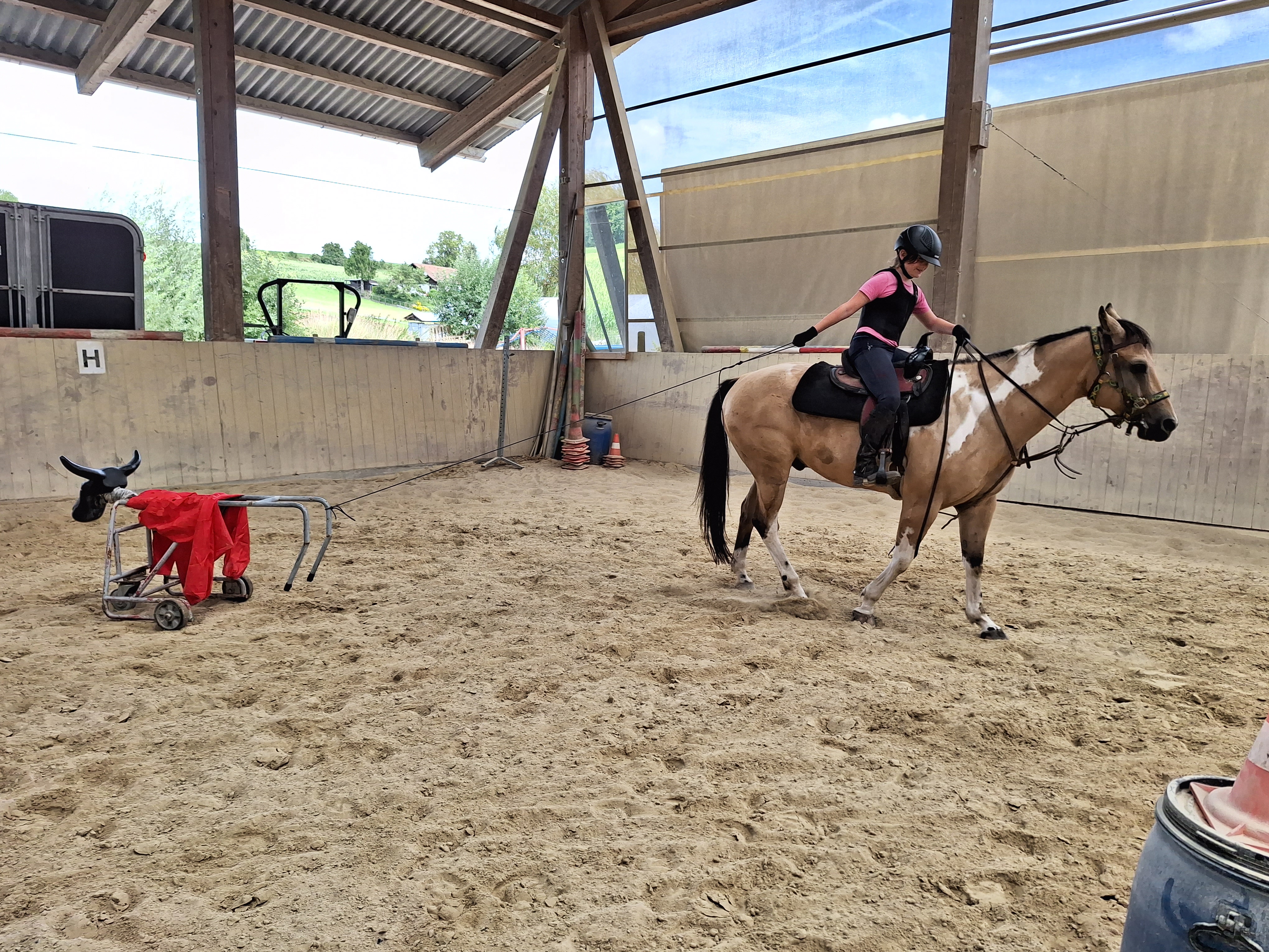 Reitlager 2 vom 5.-10.8.23 (73)