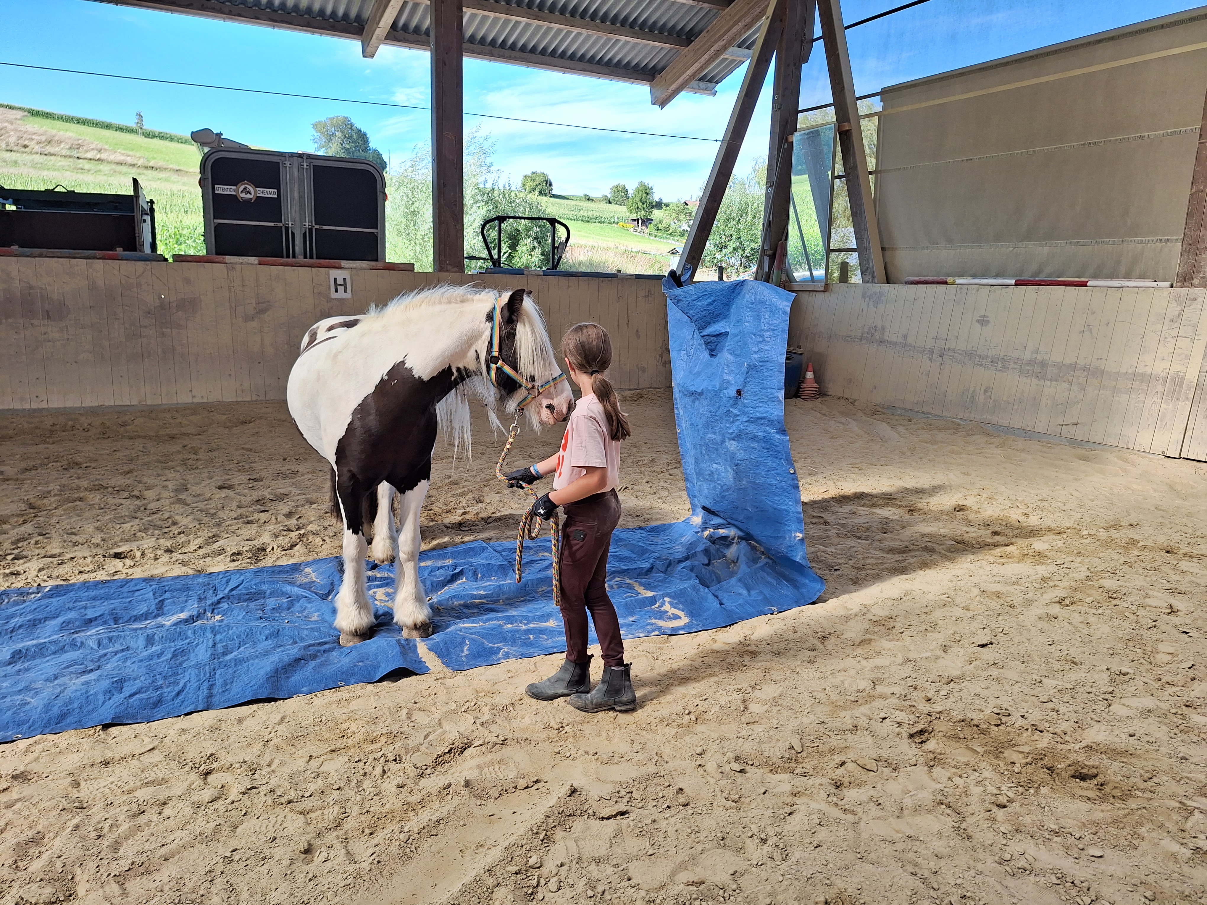 Reitlager 2 vom 5.-10.8.23 (119)
