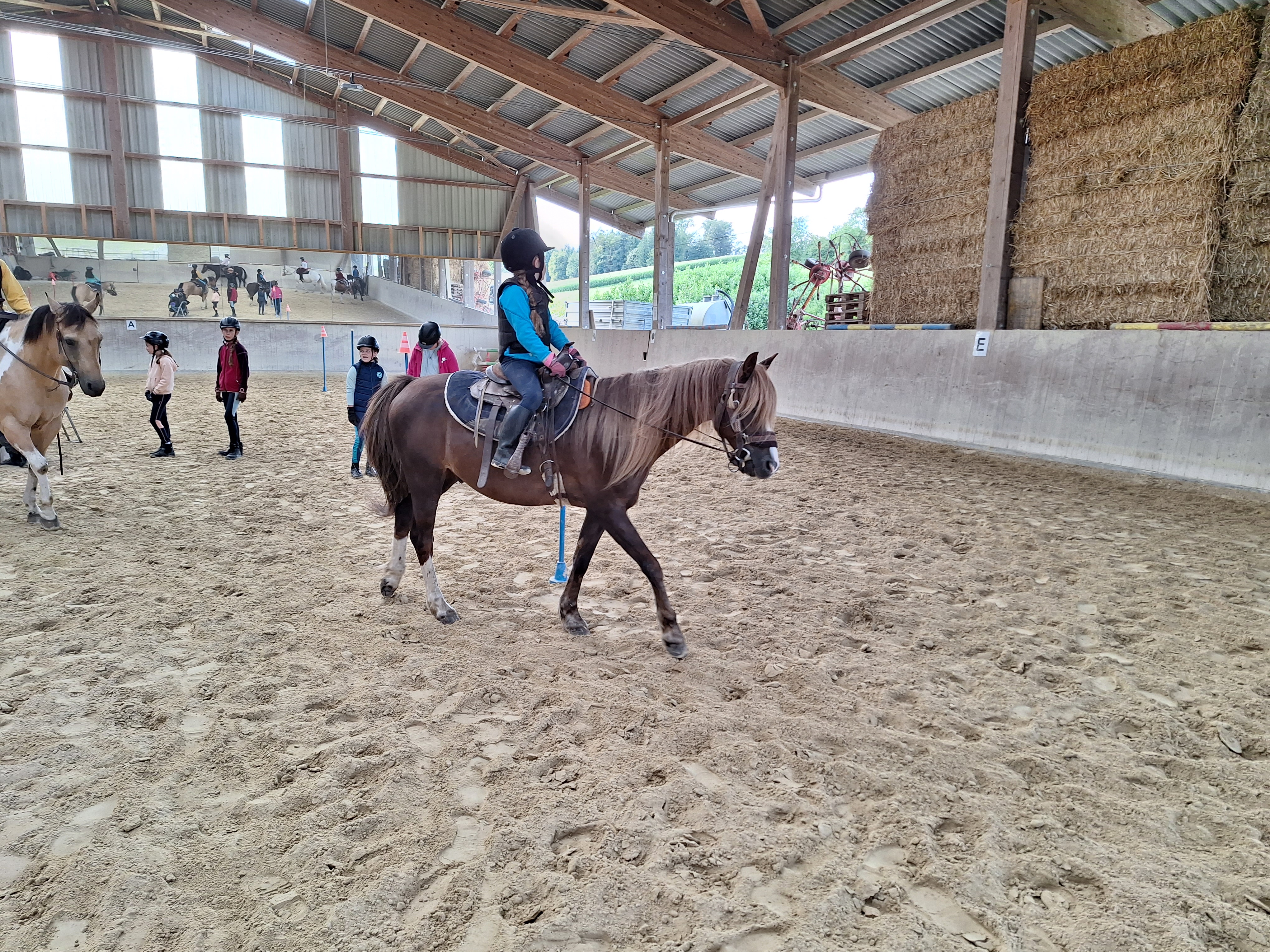 Reitlager 2 vom 5.-10.8.23 (26)