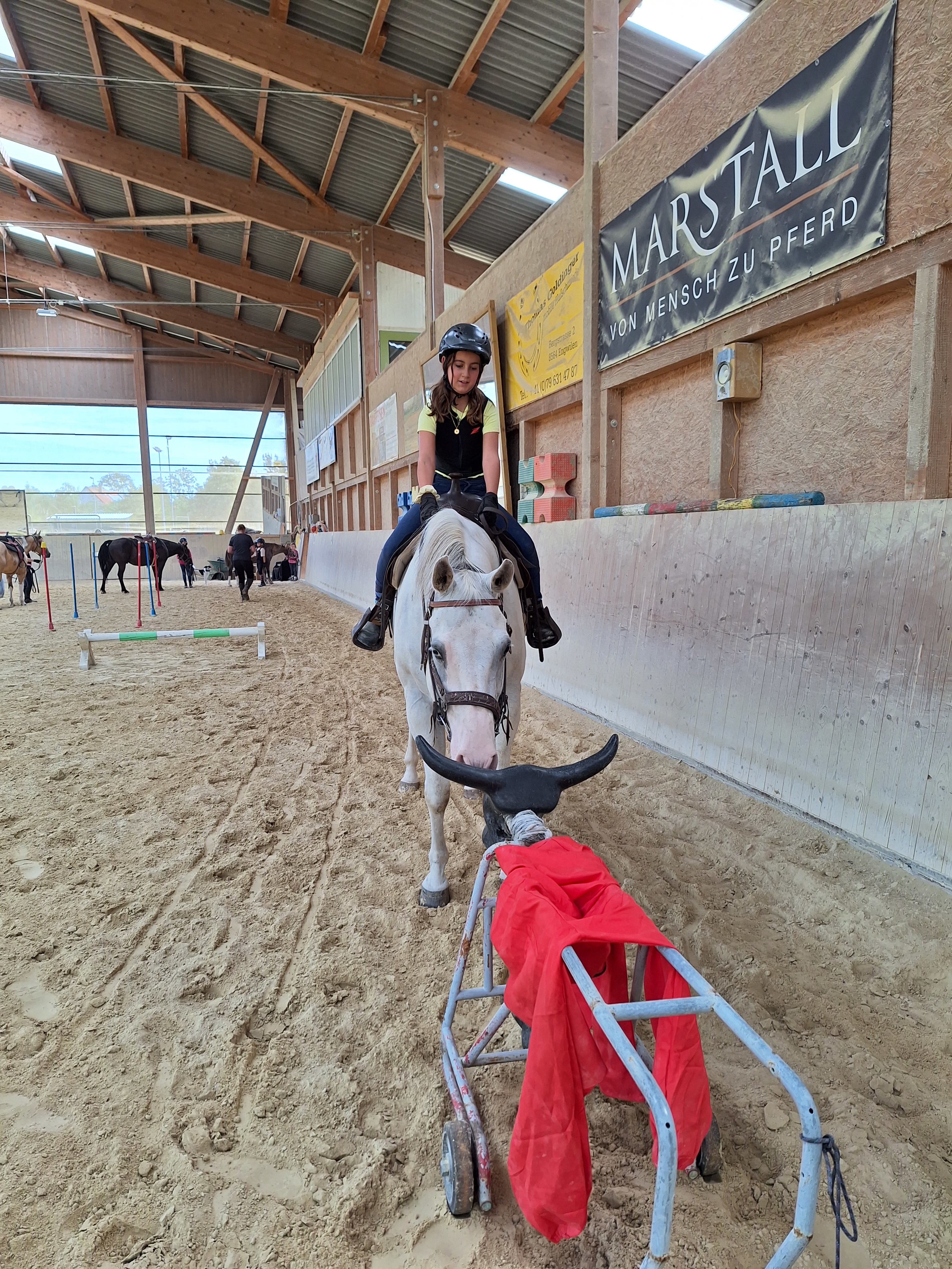 Reitlager 2 vom 5.-10.8.23 (77)