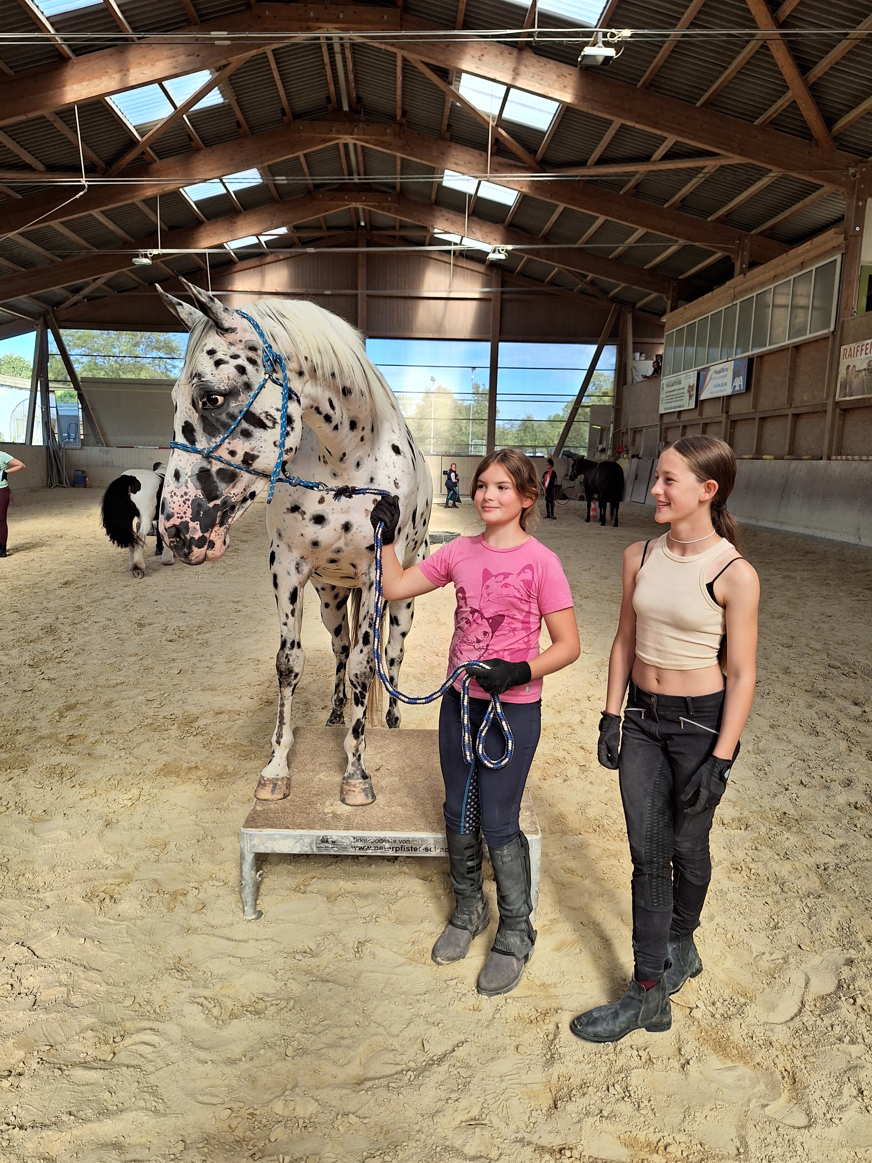 Reitlager 2 vom 5.-10.8.23 (115)