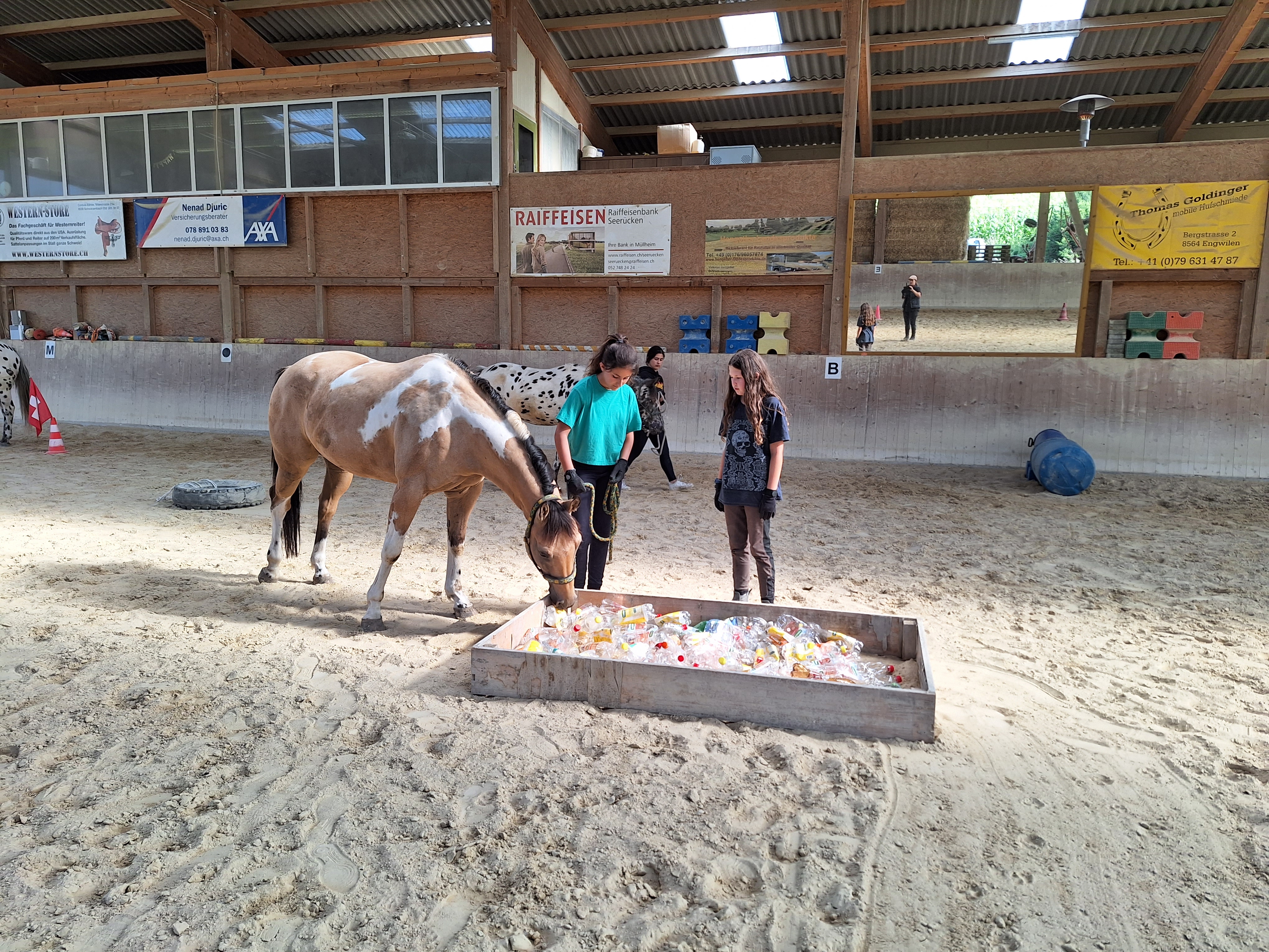 Reitlager 2 vom 5.-10.8.23 (100)
