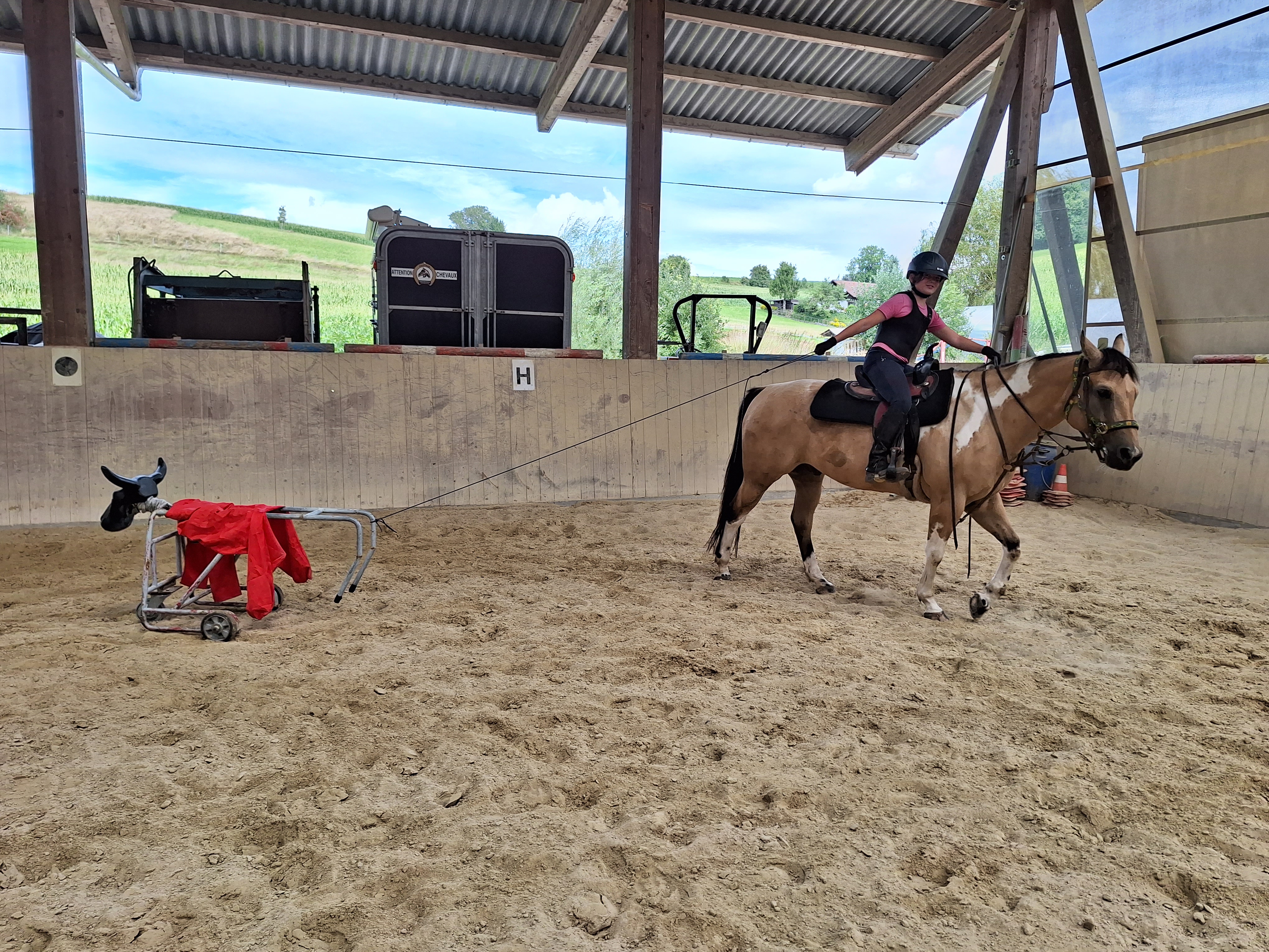 Reitlager 2 vom 5.-10.8.23 (72)