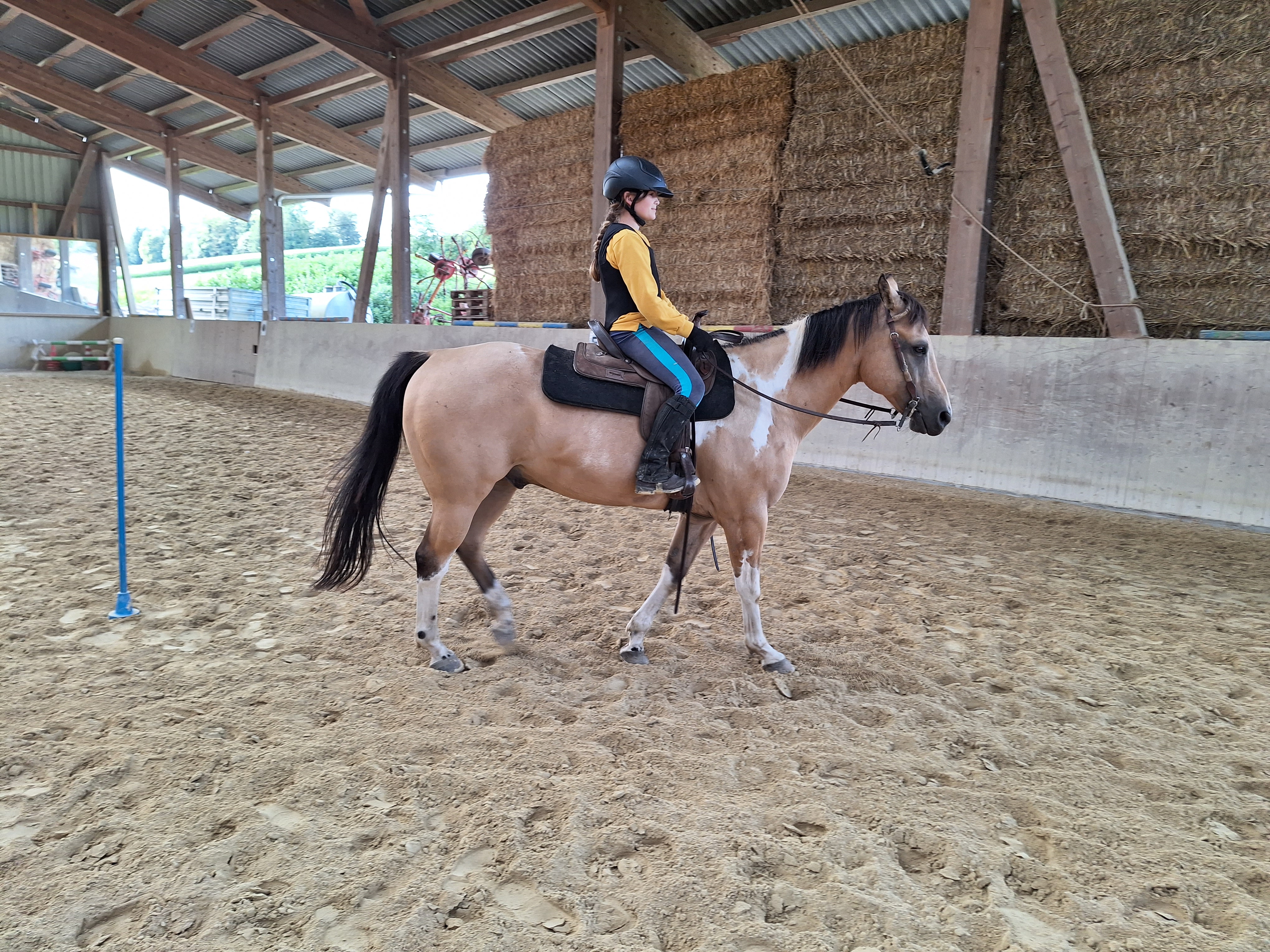 Reitlager 2 vom 5.-10.8.23 (28)