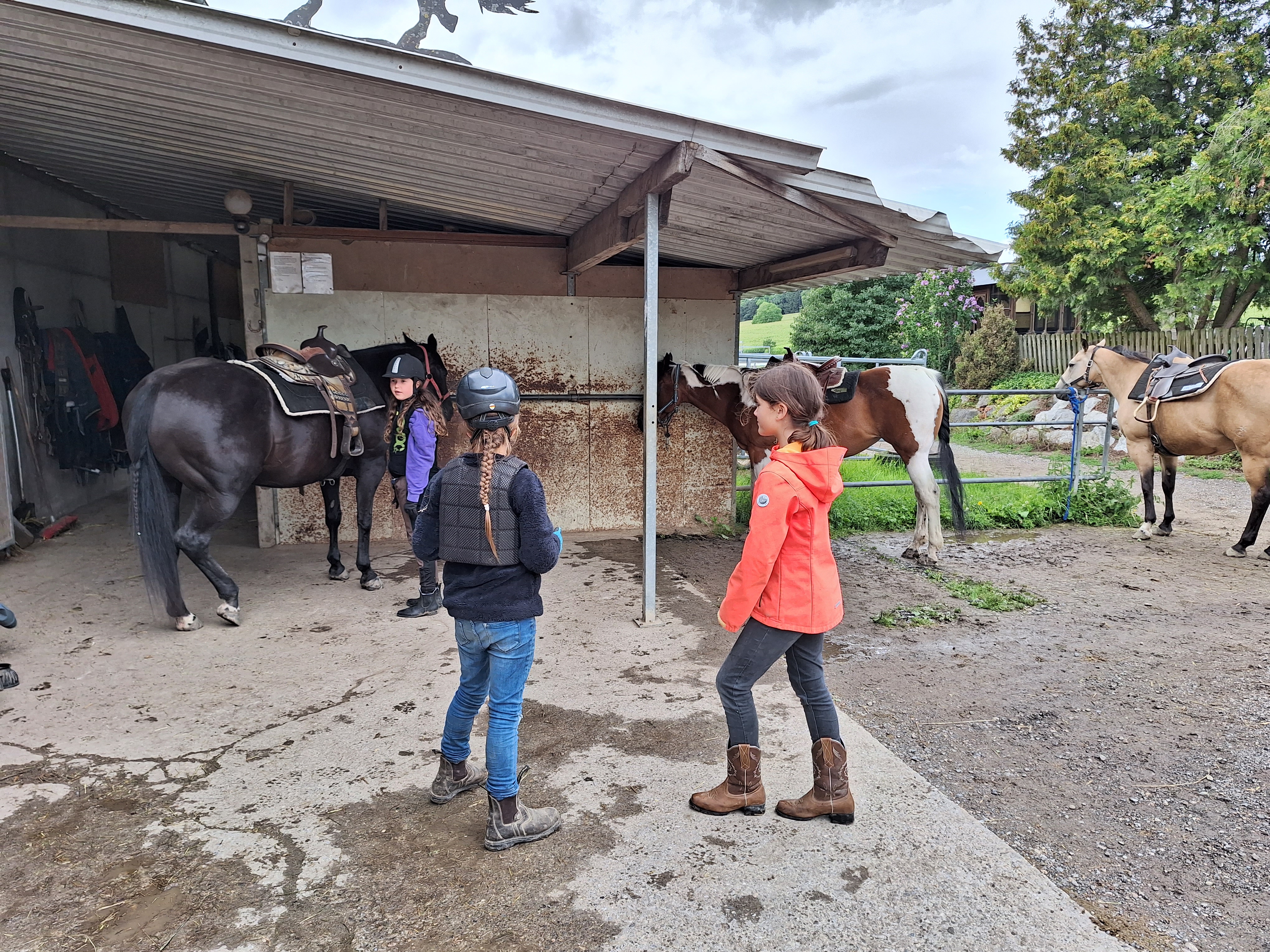 Reitlager 2 vom 5.-10.8.23 (19)