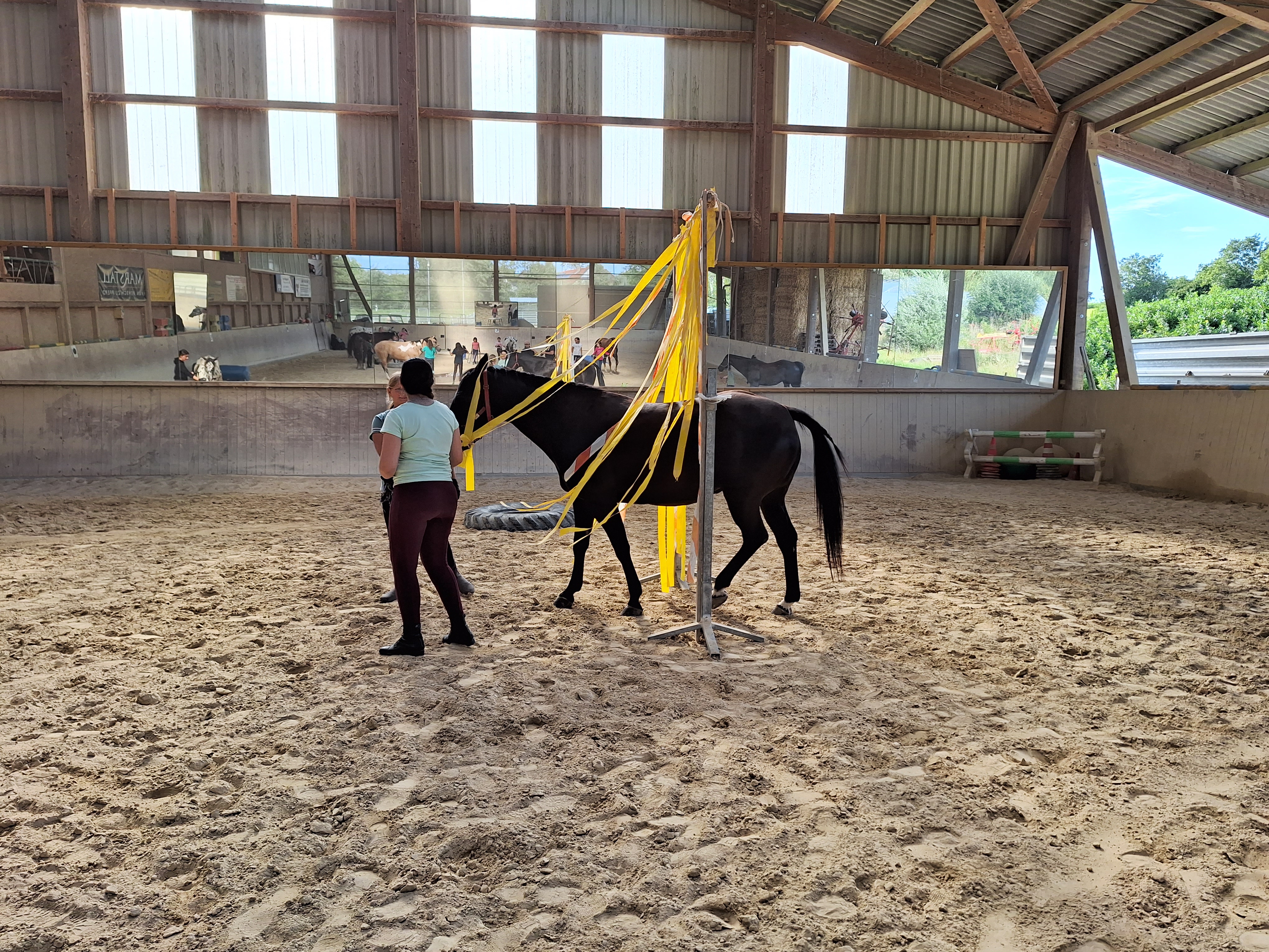 Reitlager 2 vom 5.-10.8.23 (107)