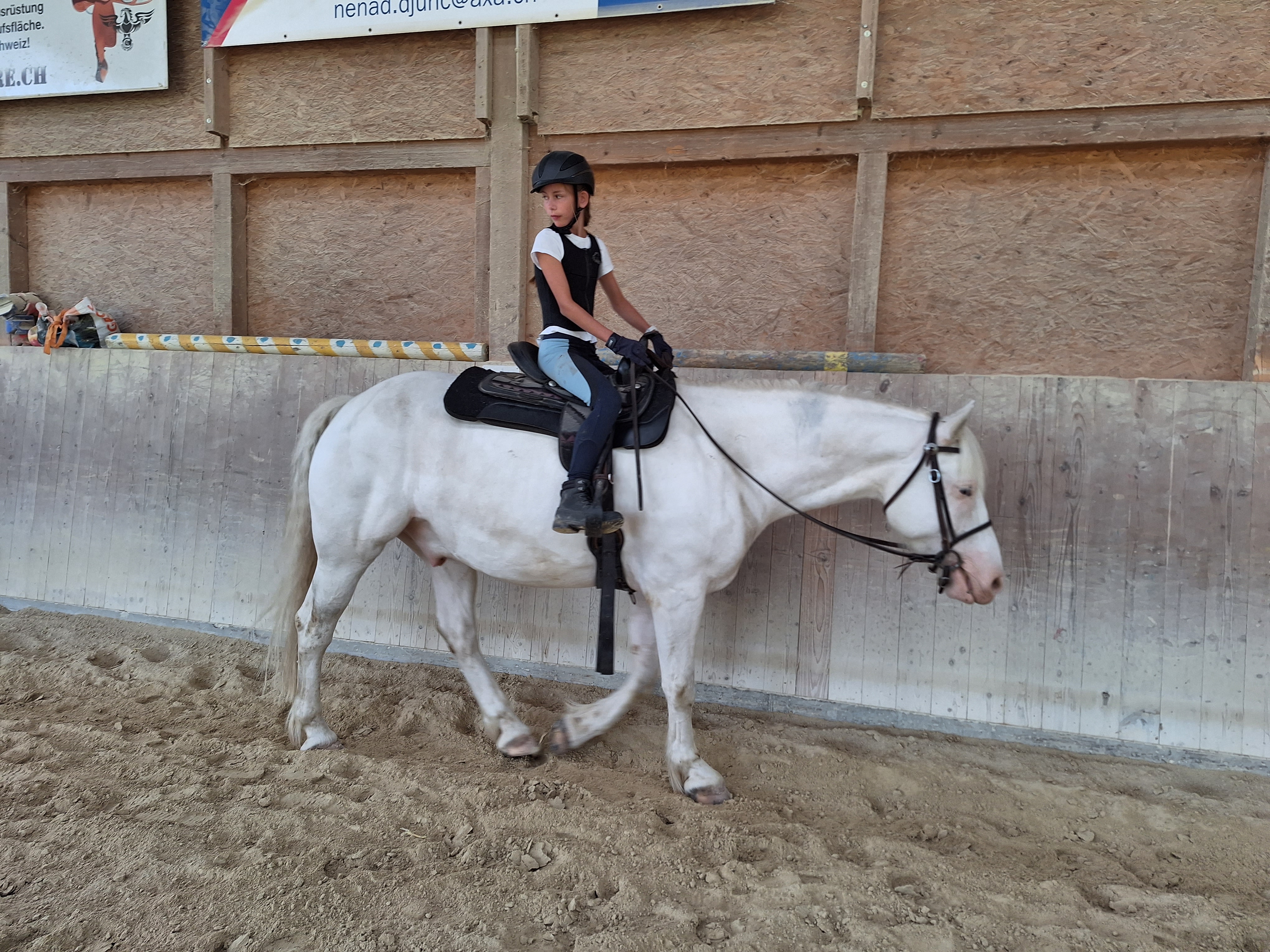 Reitlager 2 vom 5.-10.8.23 (57)