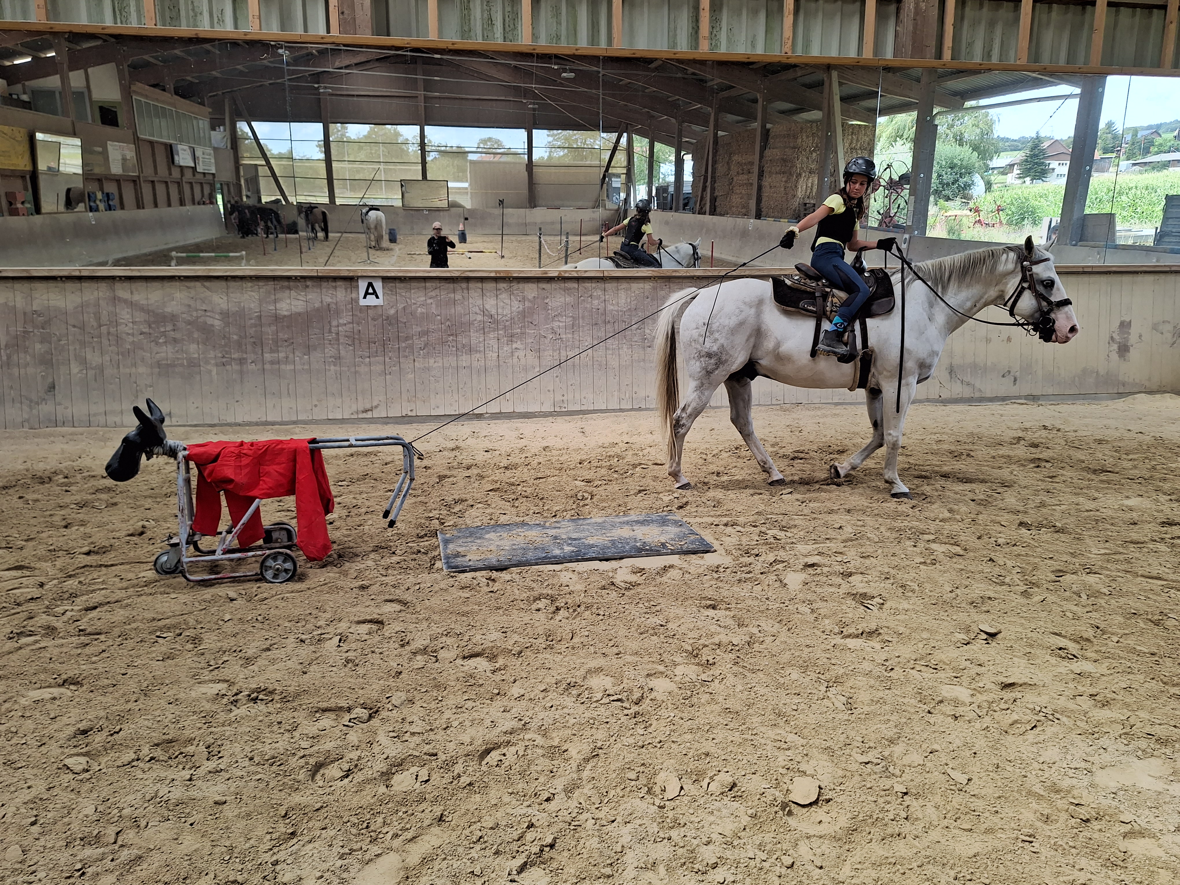 Reitlager 2 vom 5.-10.8.23 (81)