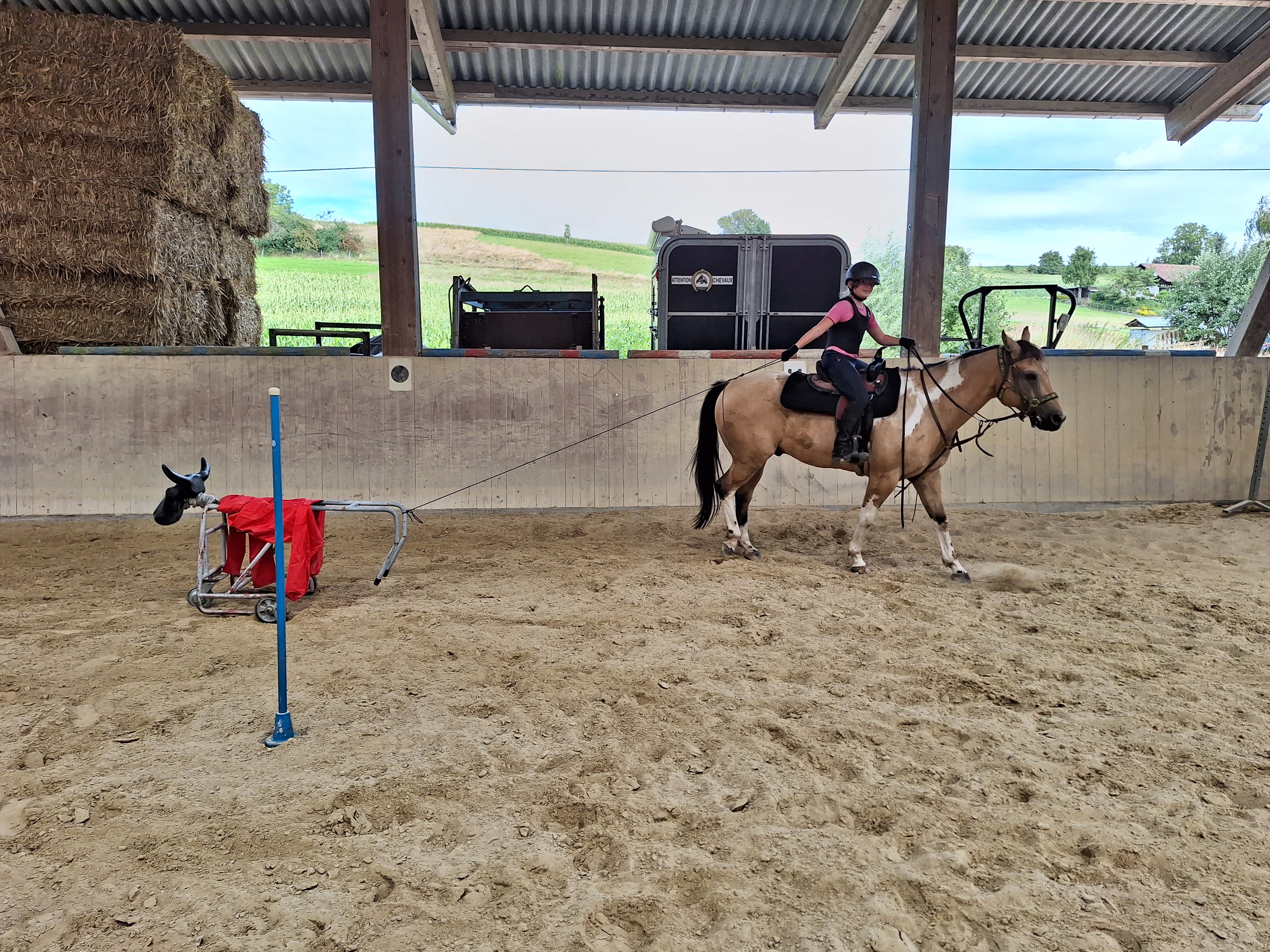 Reitlager 2 vom 5.-10.8.23 (71)