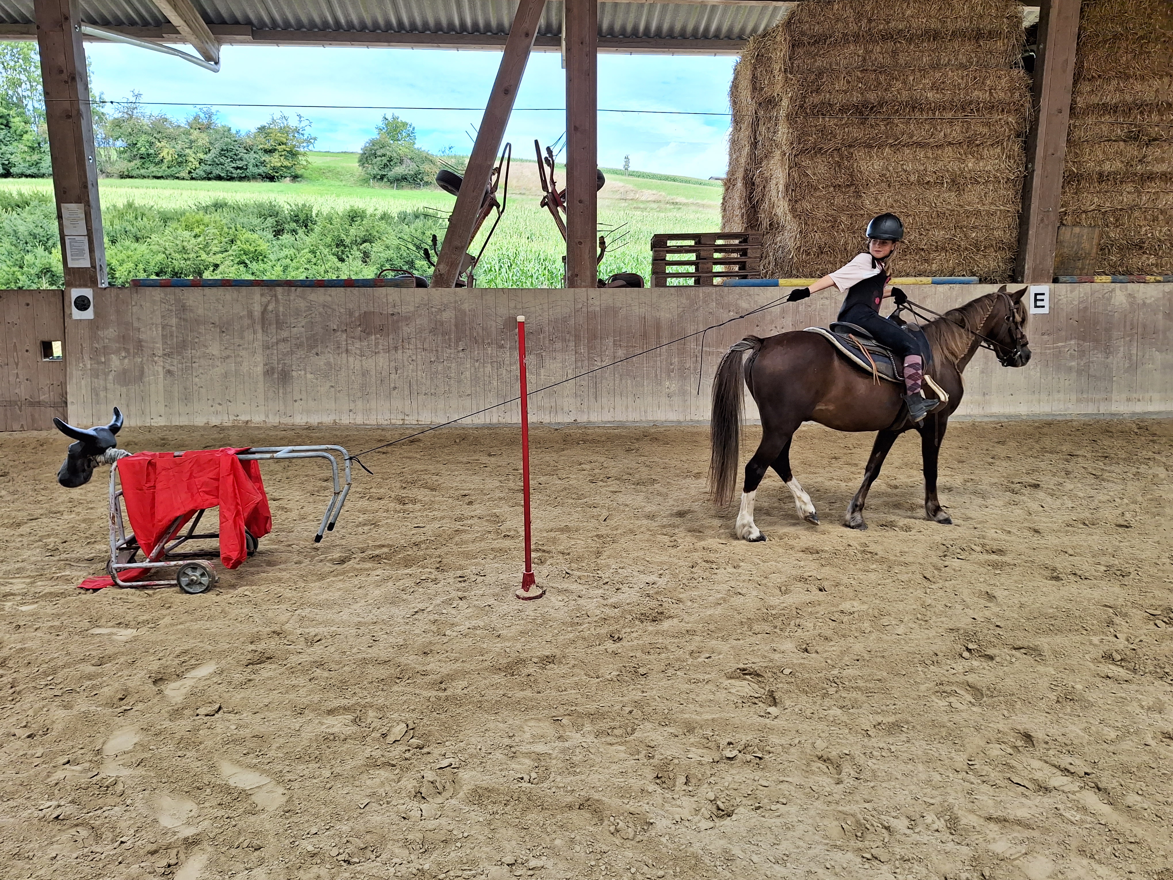 Reitlager 2 vom 5.-10.8.23 (69)