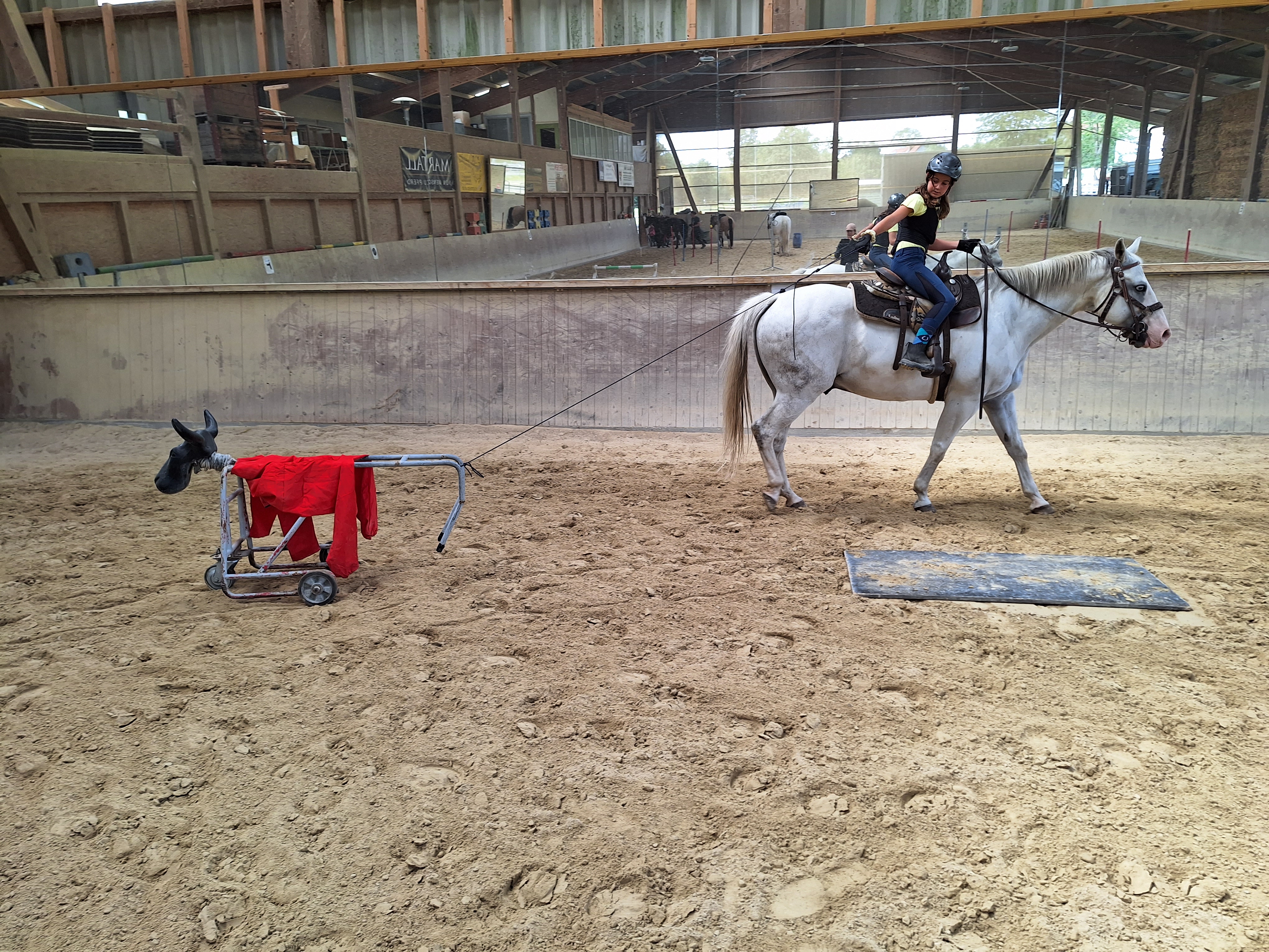Reitlager 2 vom 5.-10.8.23 (80)